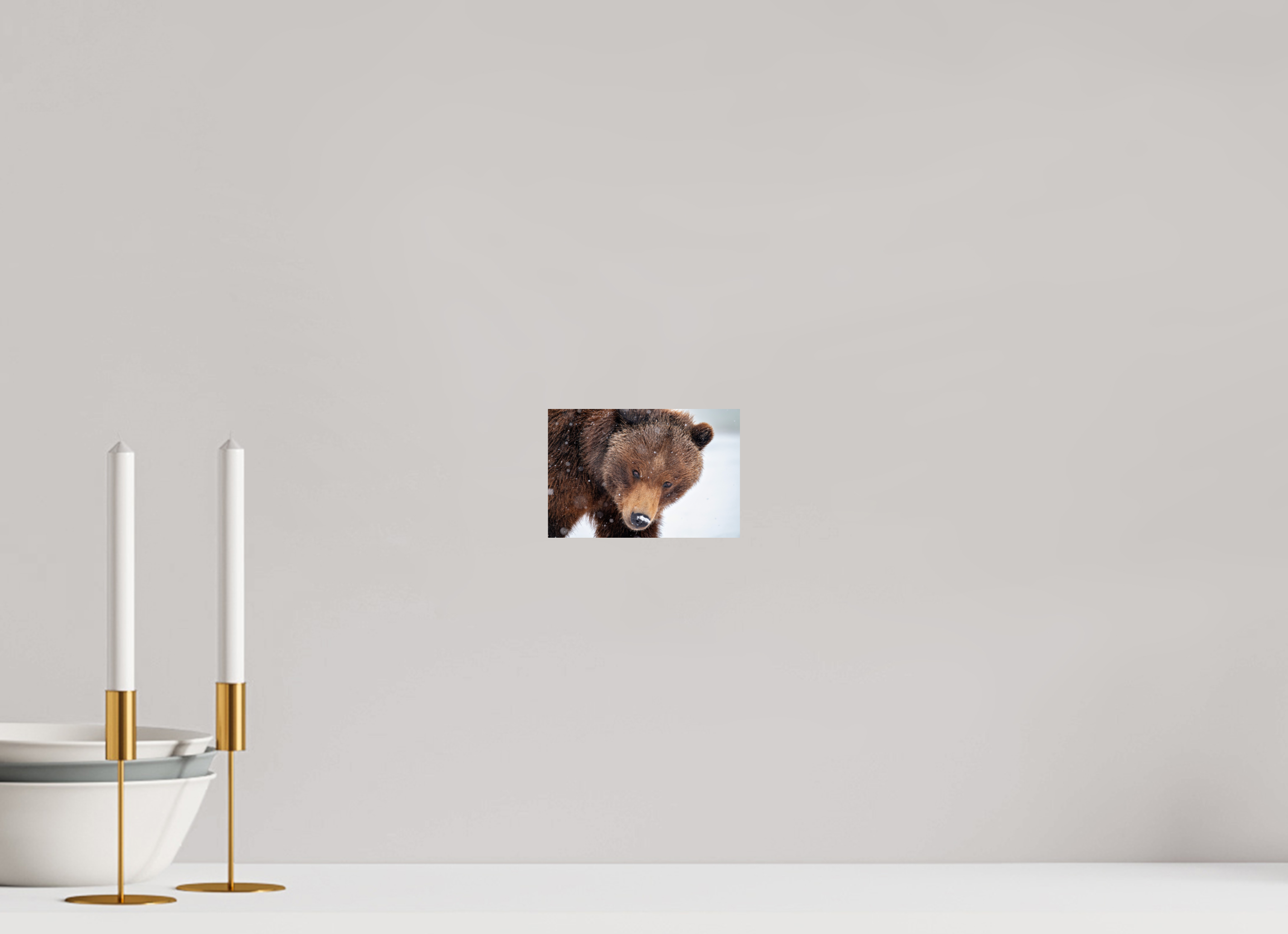 6 x 4″, Photo Print On Fuji Crystal DP II Bear Stare