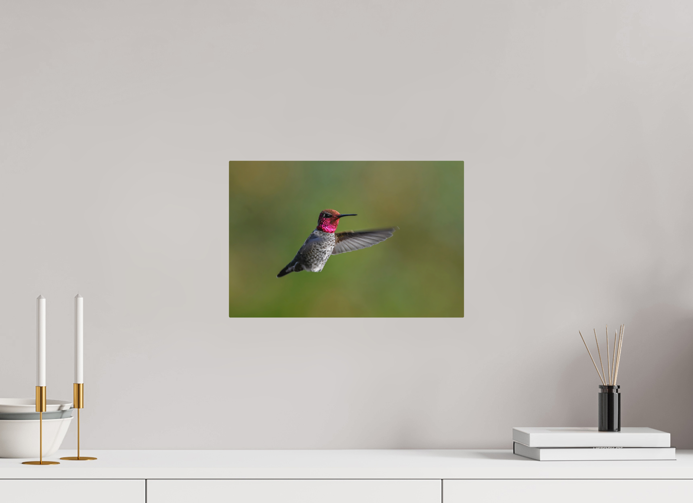 15 x 10″, Direct Print on Aluminum with mounting hardware included. Glowing Anna's