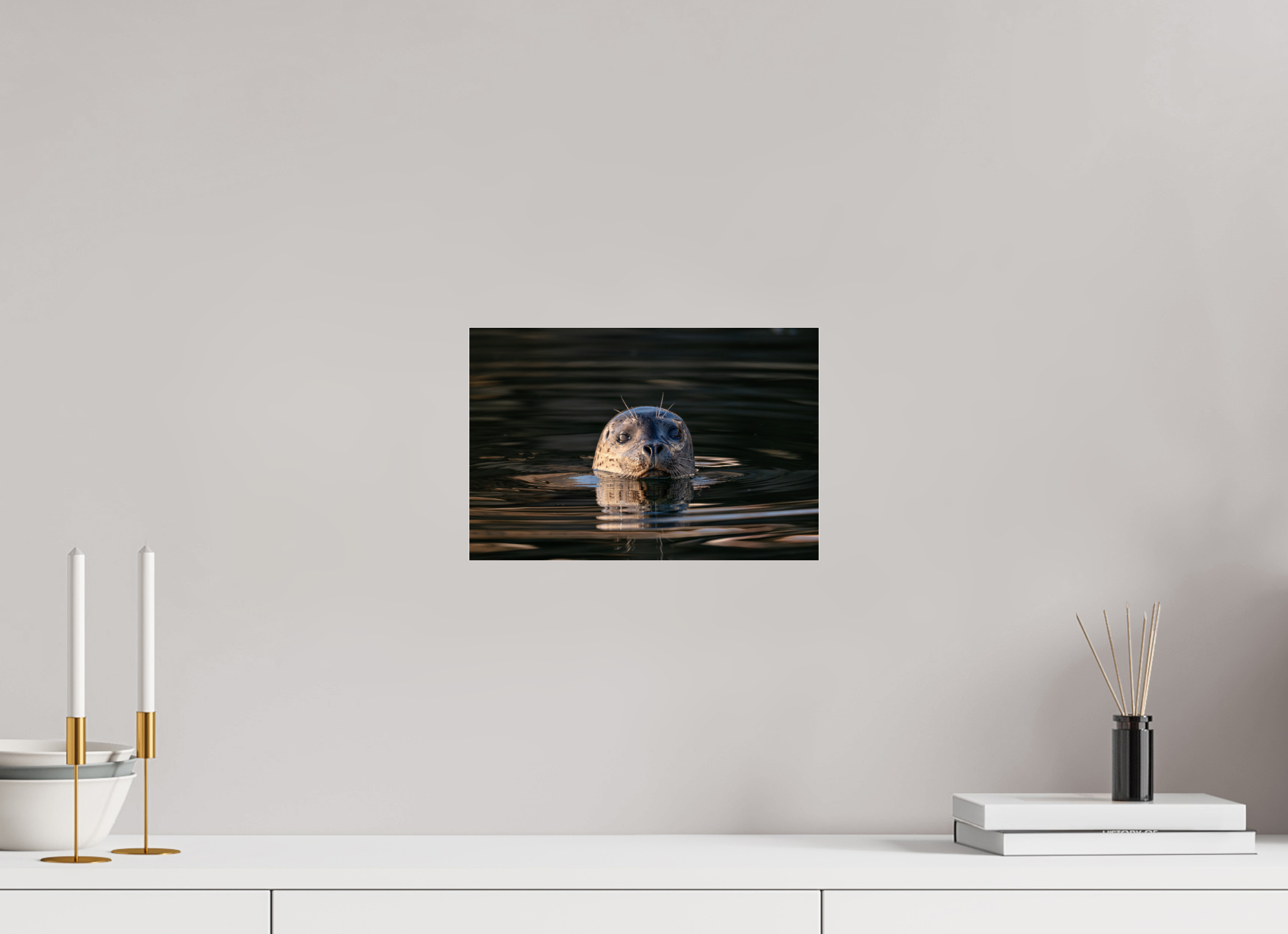 12 x 8″, Photo Print Under Acrylic Glass Surface Seal