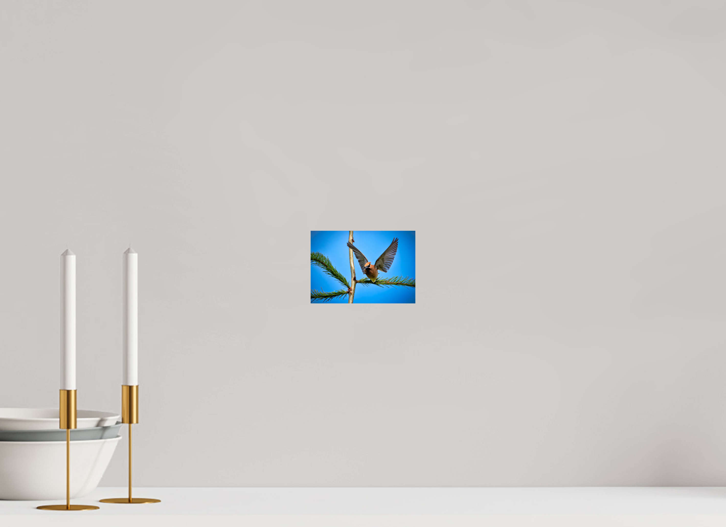 5.8 x 4″, Photo Print On Fuji Crystal DP II Wing of the Waxwing