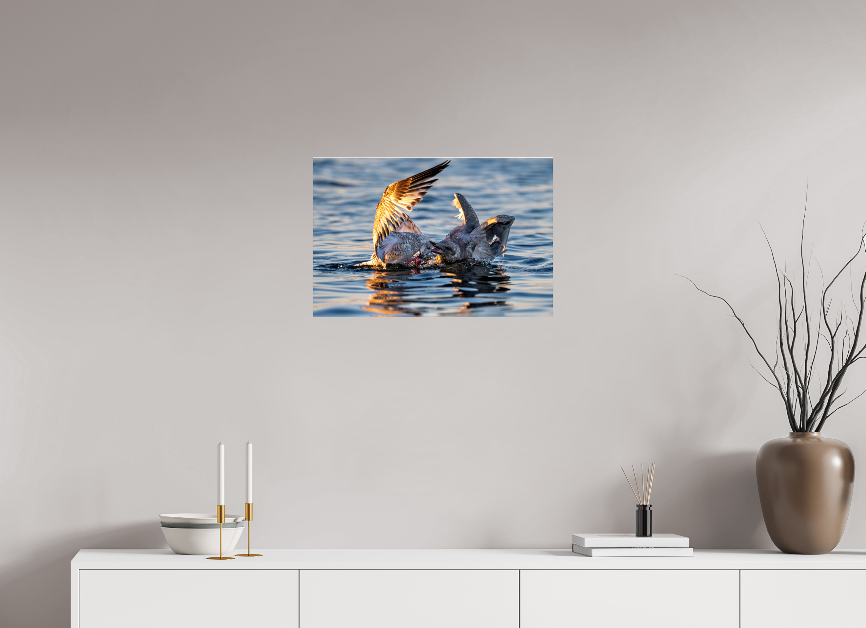 24 x 16″, Photo Mounted Under Acrylic Glass Seabird Battle