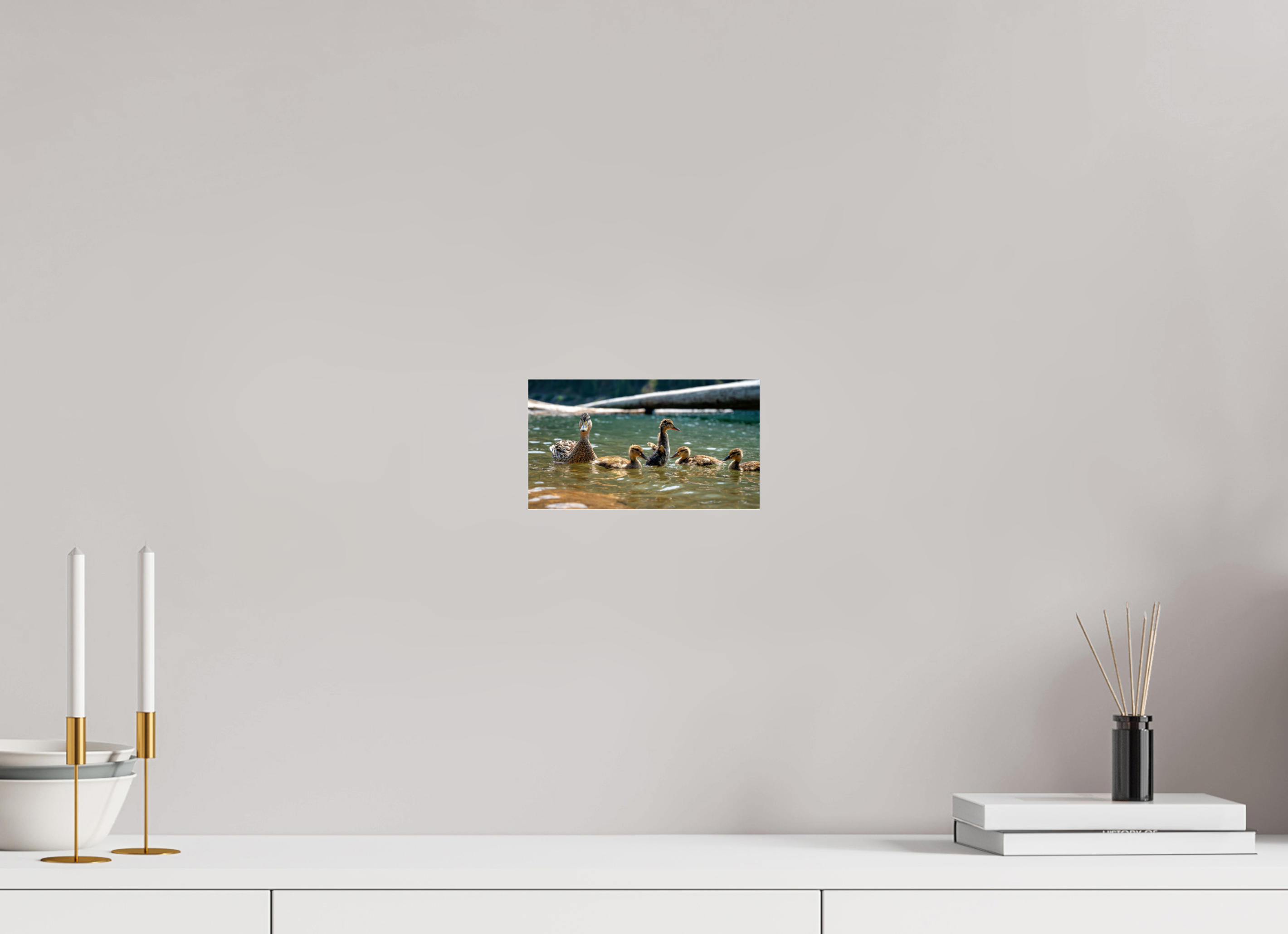 8 x 4.5″, Photo Mounted Under Acrylic Glass Ducklings These Days.