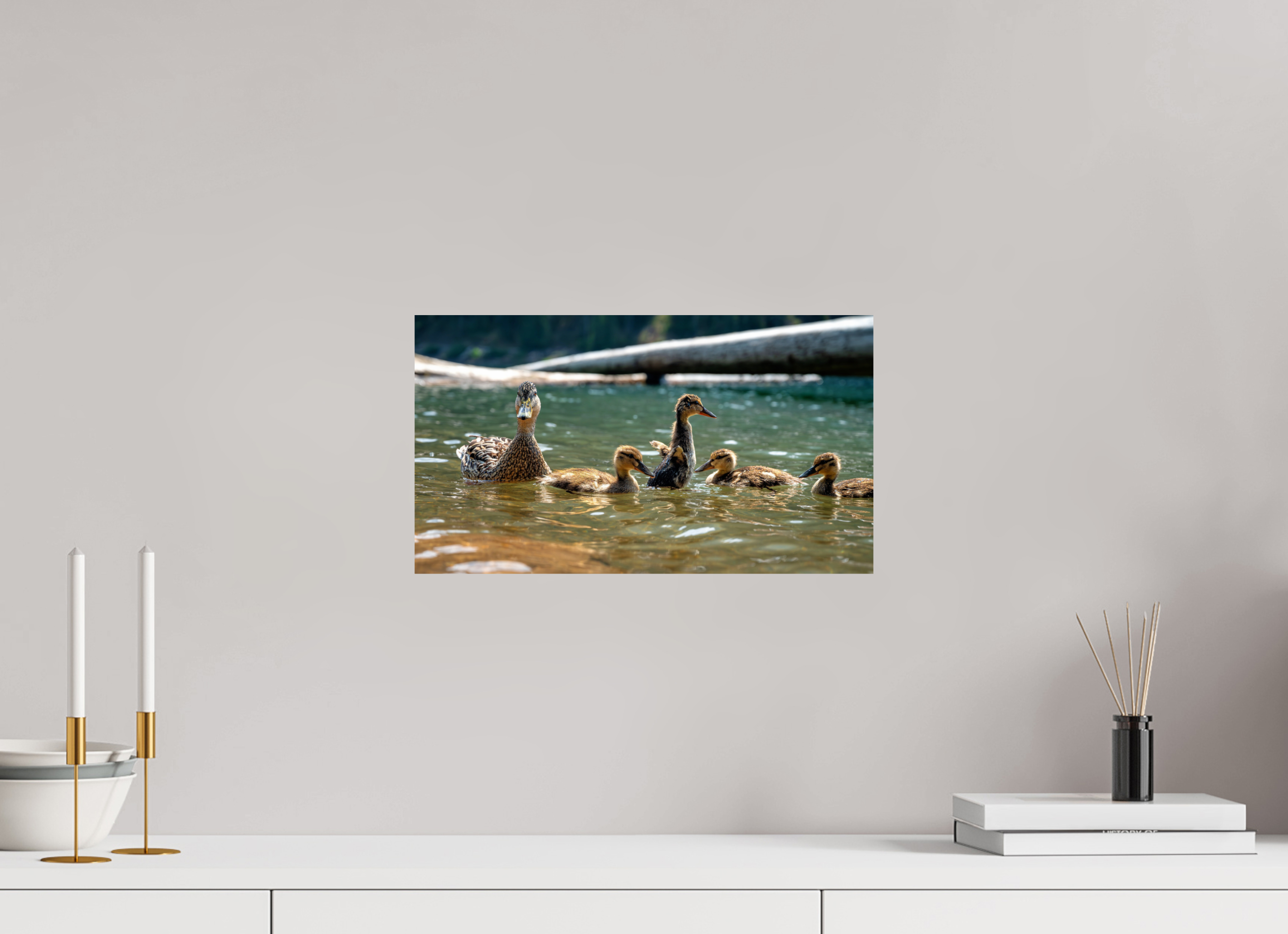 16 x 9″, Photo Print On Fuji Crystal DP II Ducklings These Days.