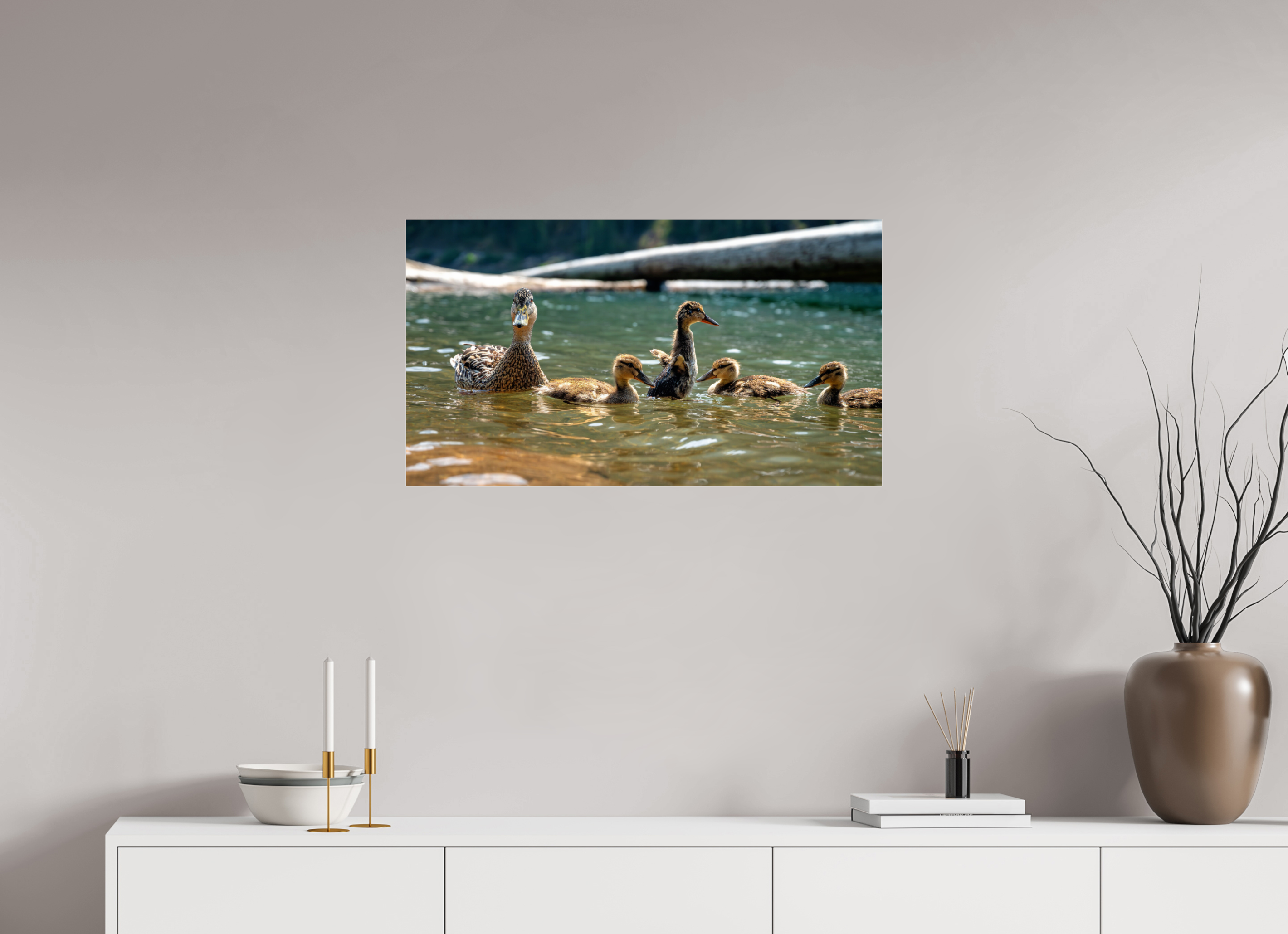 32 x 18″, Photo Mounted Under Acrylic Glass Ducklings These Days.