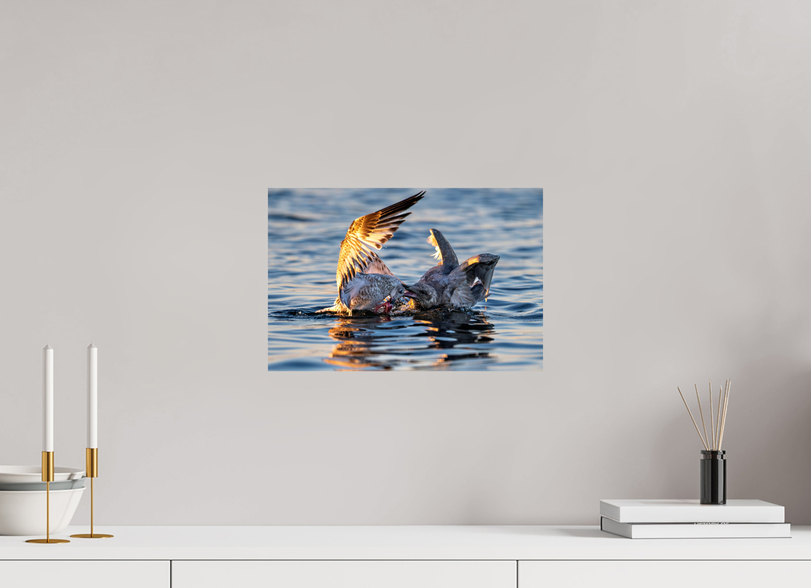 15 x 10″, Photo Print on Aluminum Backing Seabird Battle