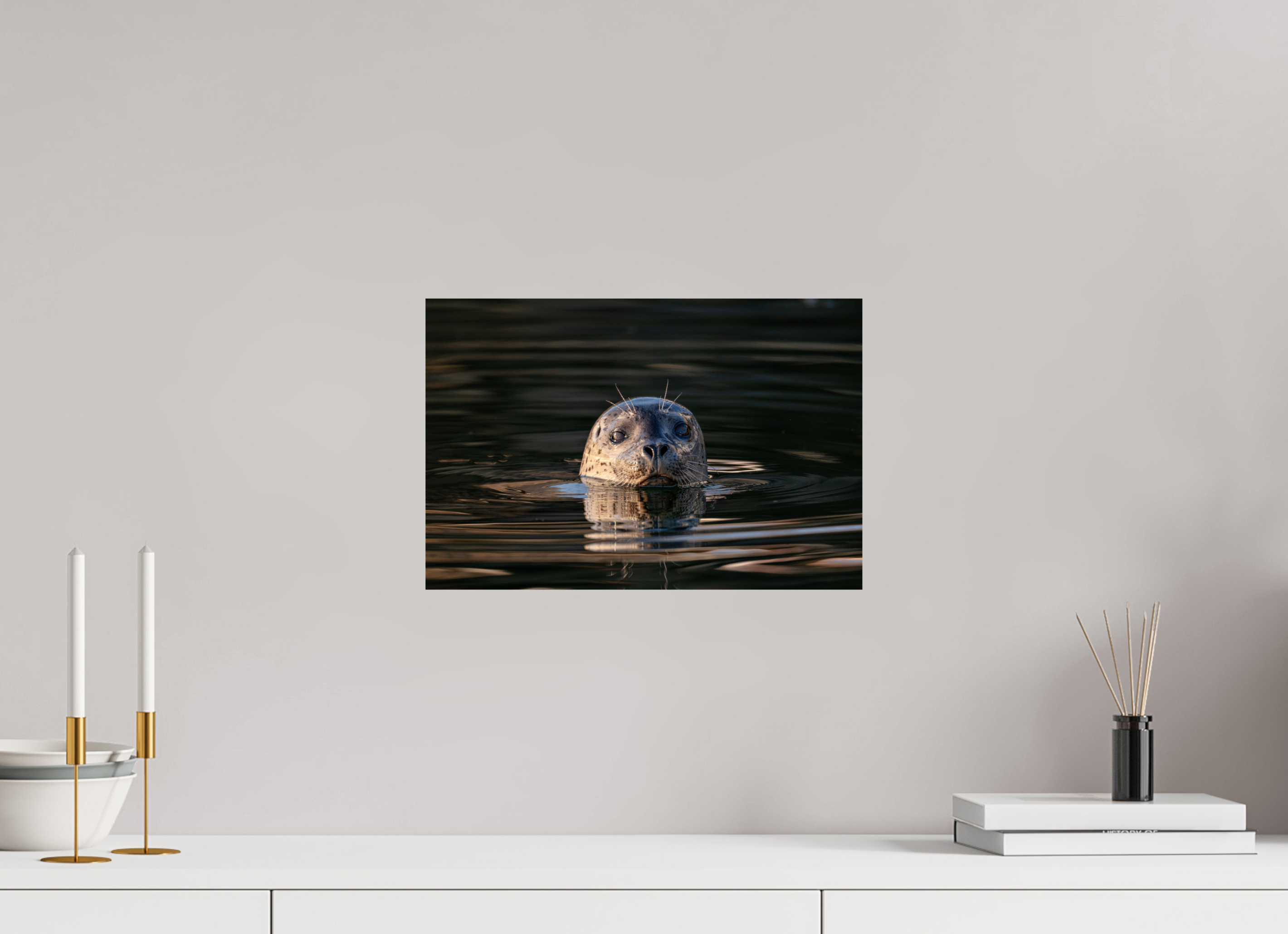 15 x 10″, Photo Print on Aluminum Backing Surface Seal