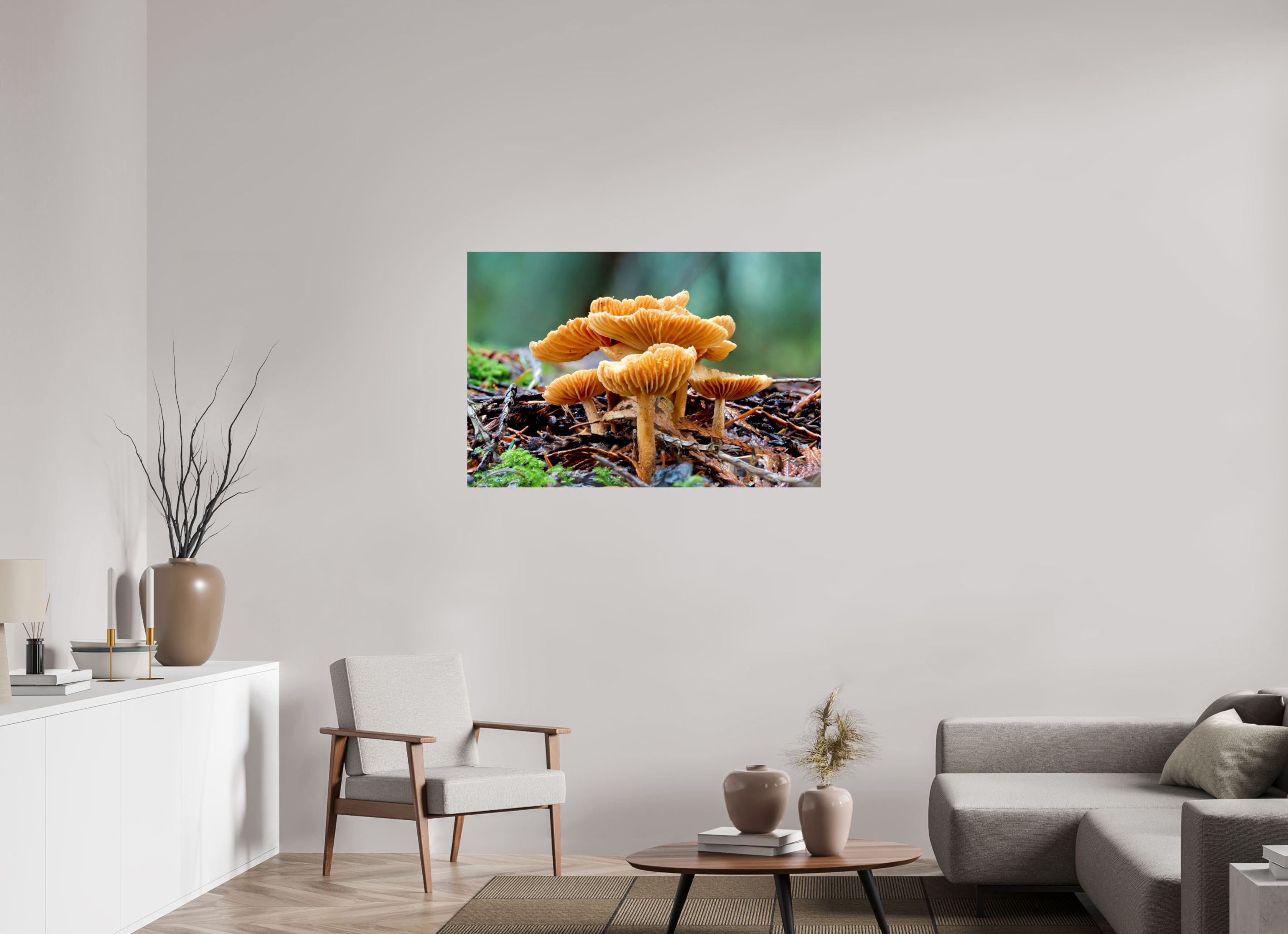 45 x 30″, Photo Print on Aluminum Backing Family of Fungi