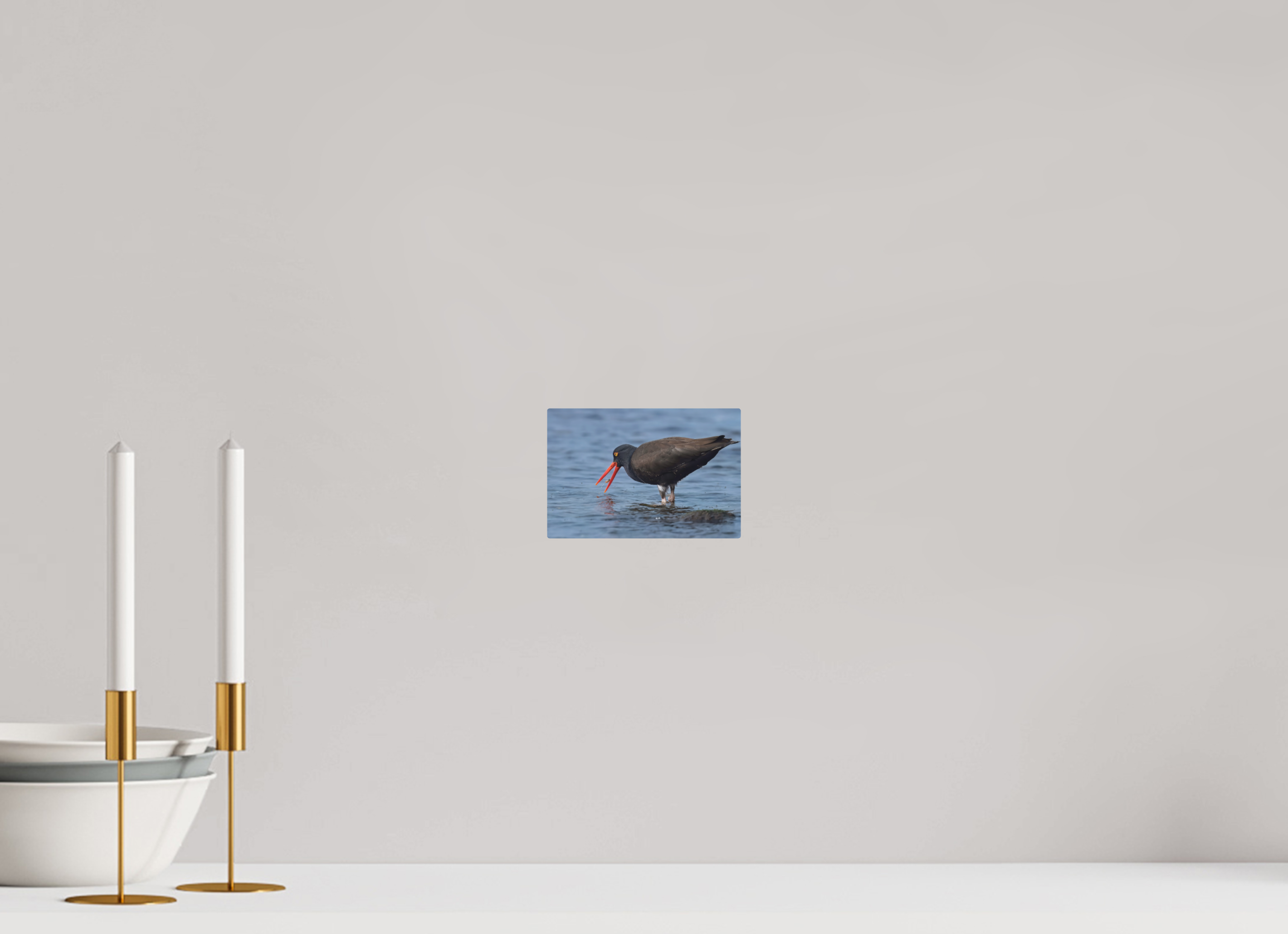 6 x 4″, Direct Print on Aluminum with mounting hardware included. Oystercatcher