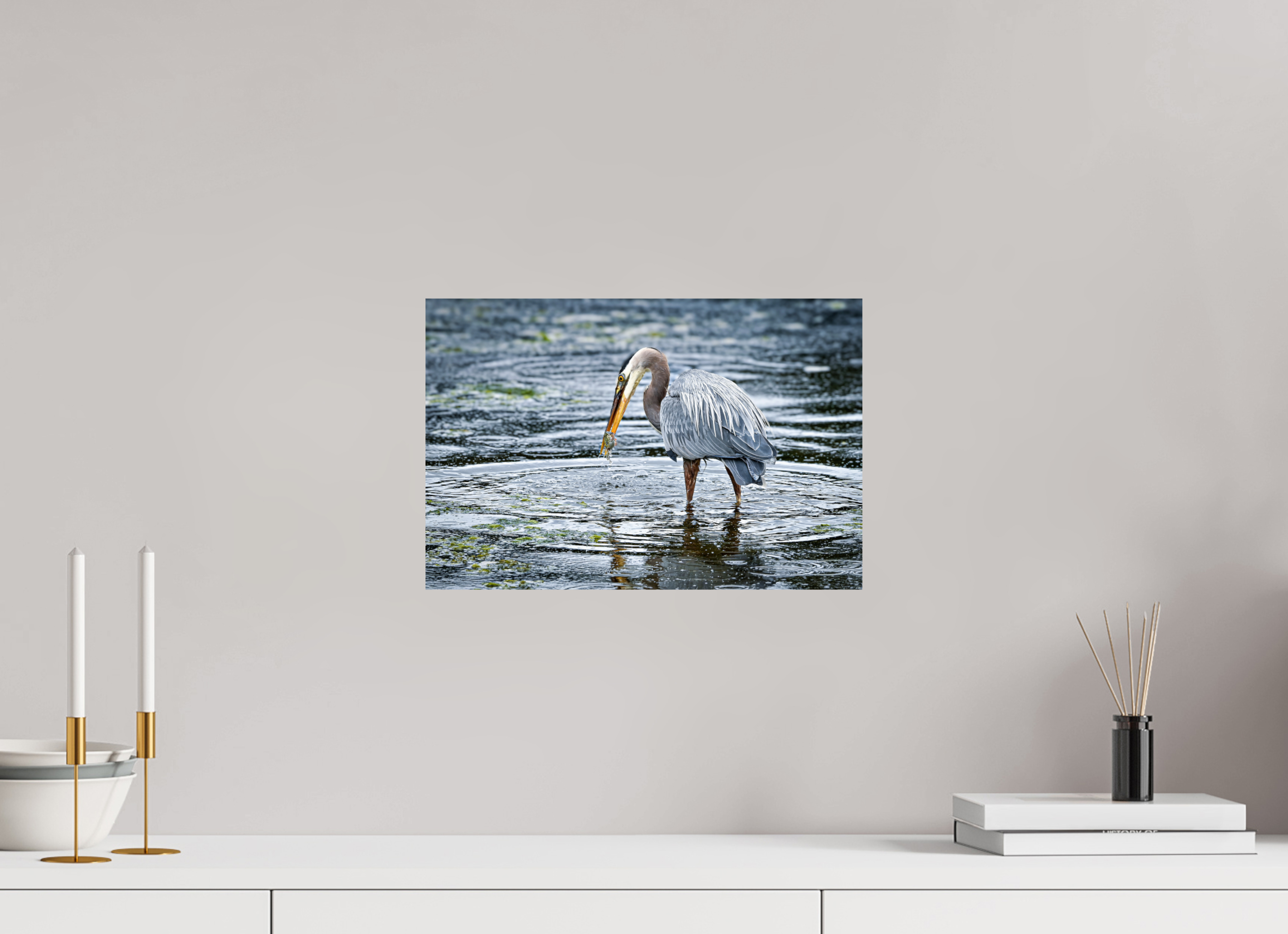 15 x 10″, Photo Print on Aluminum Backing Surprised Dinner