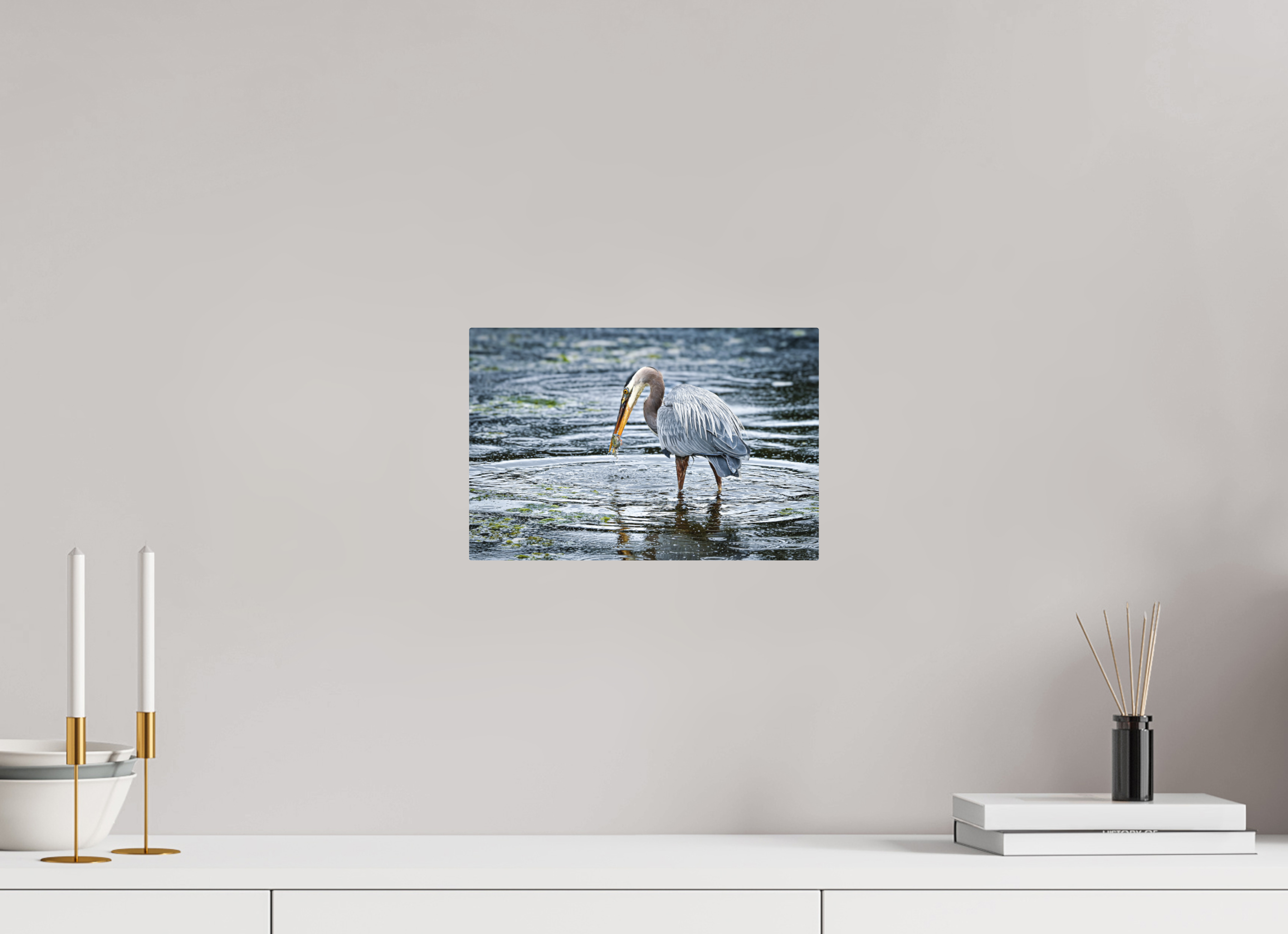 12 x 8″, Direct Print on Aluminum with mounting hardware included. Surprised Dinner