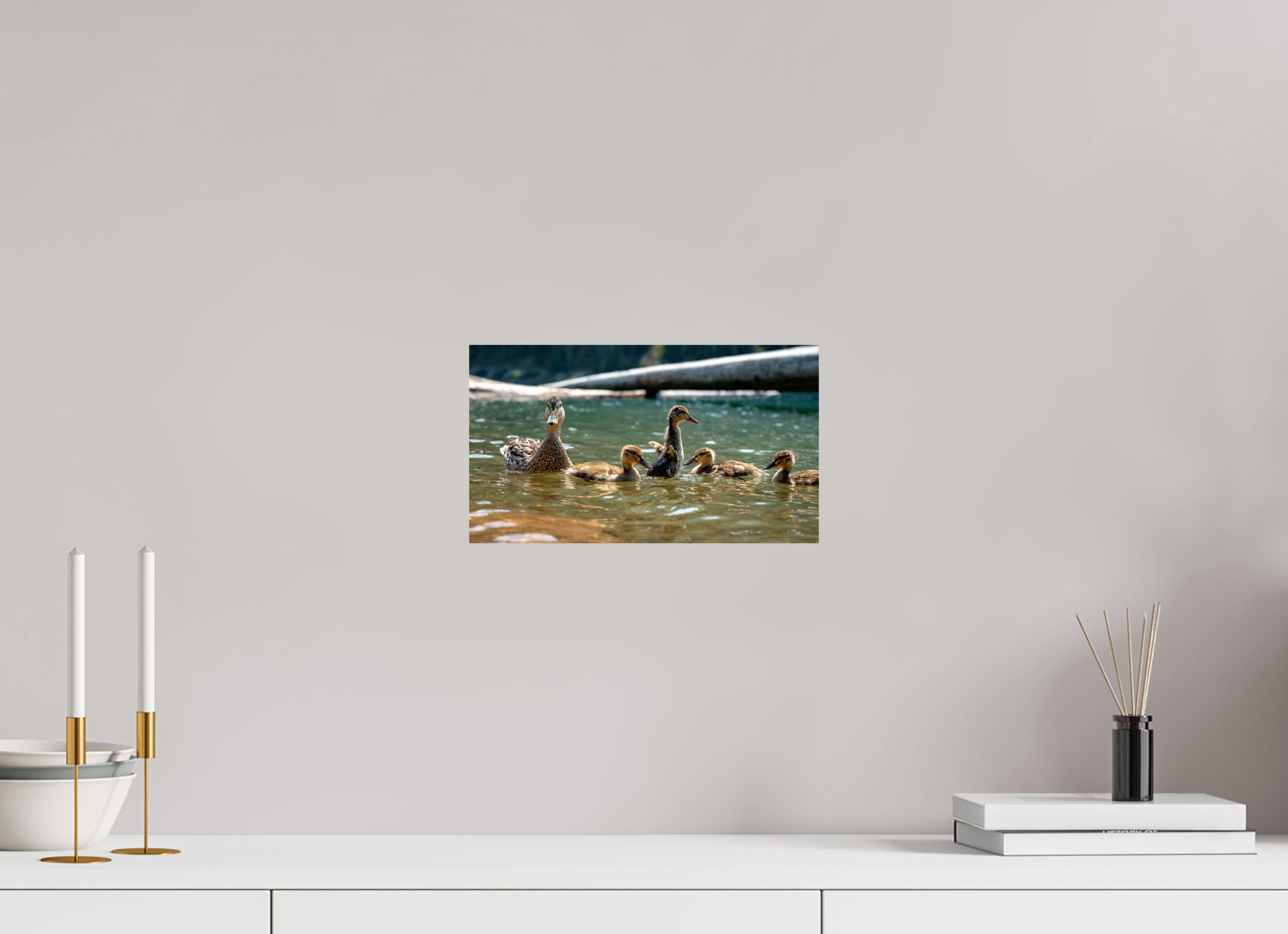 12 x 6.8″, Photo Print on Aluminum Backing Ducklings These Days.