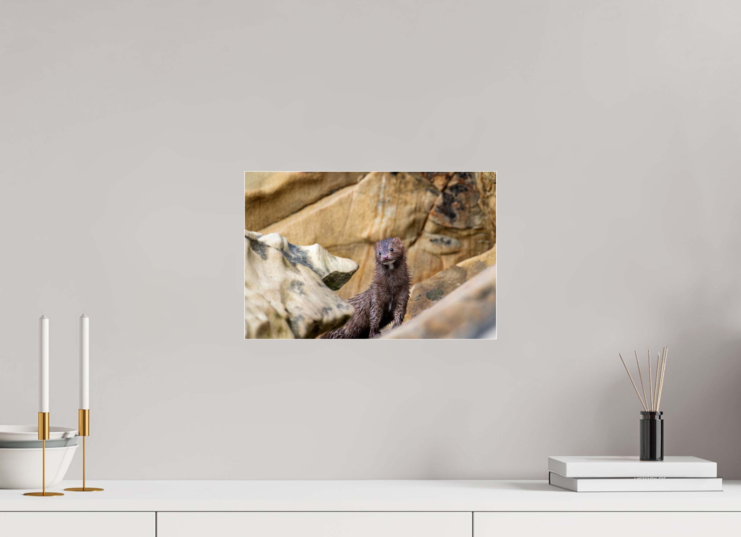 15 x 10″, Photo Mounted Under Acrylic Glass Seaside Mink