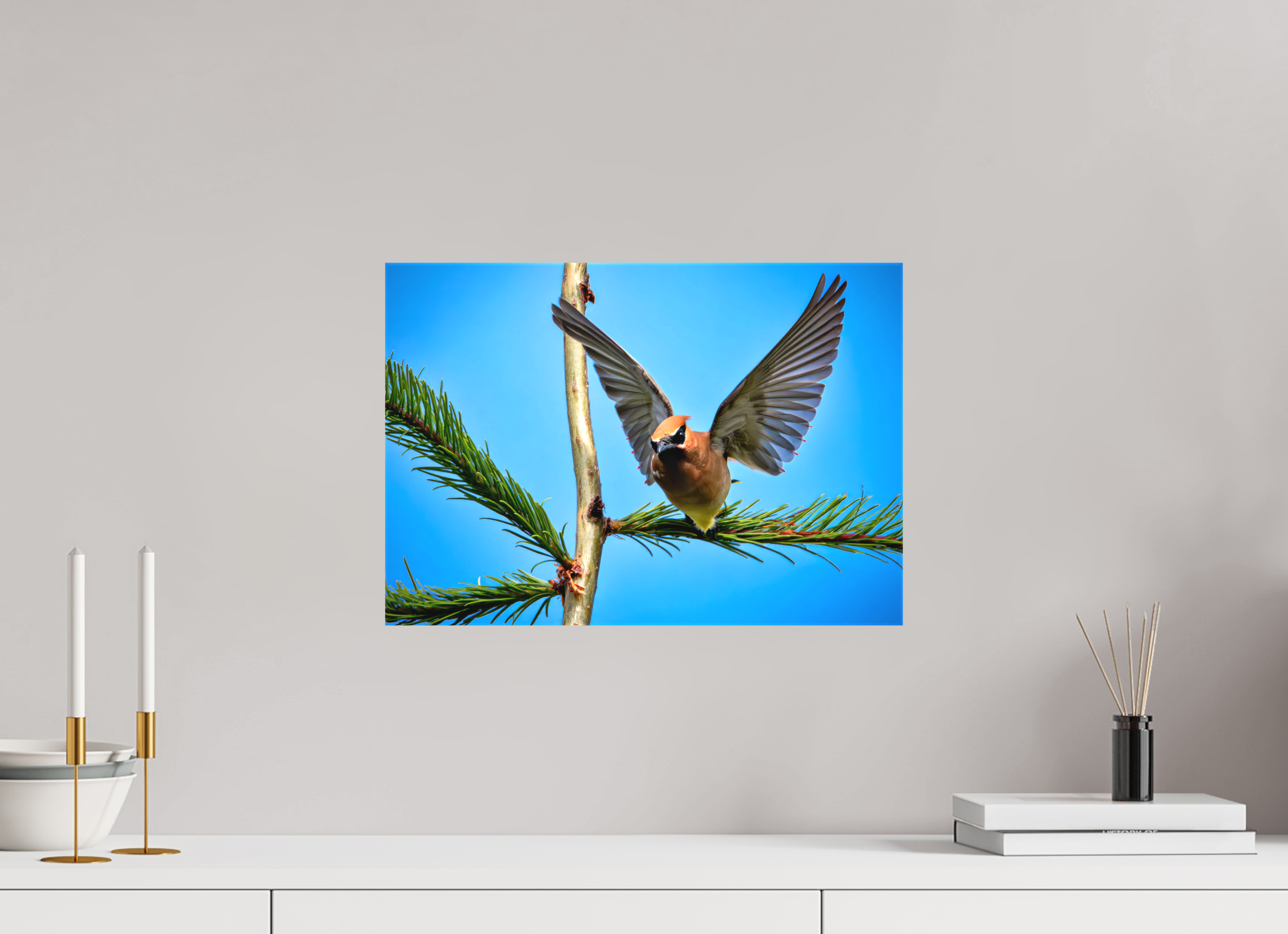 17.3 x 12″, Matte Canvas with Wrapped Edges Wing of the Waxwing