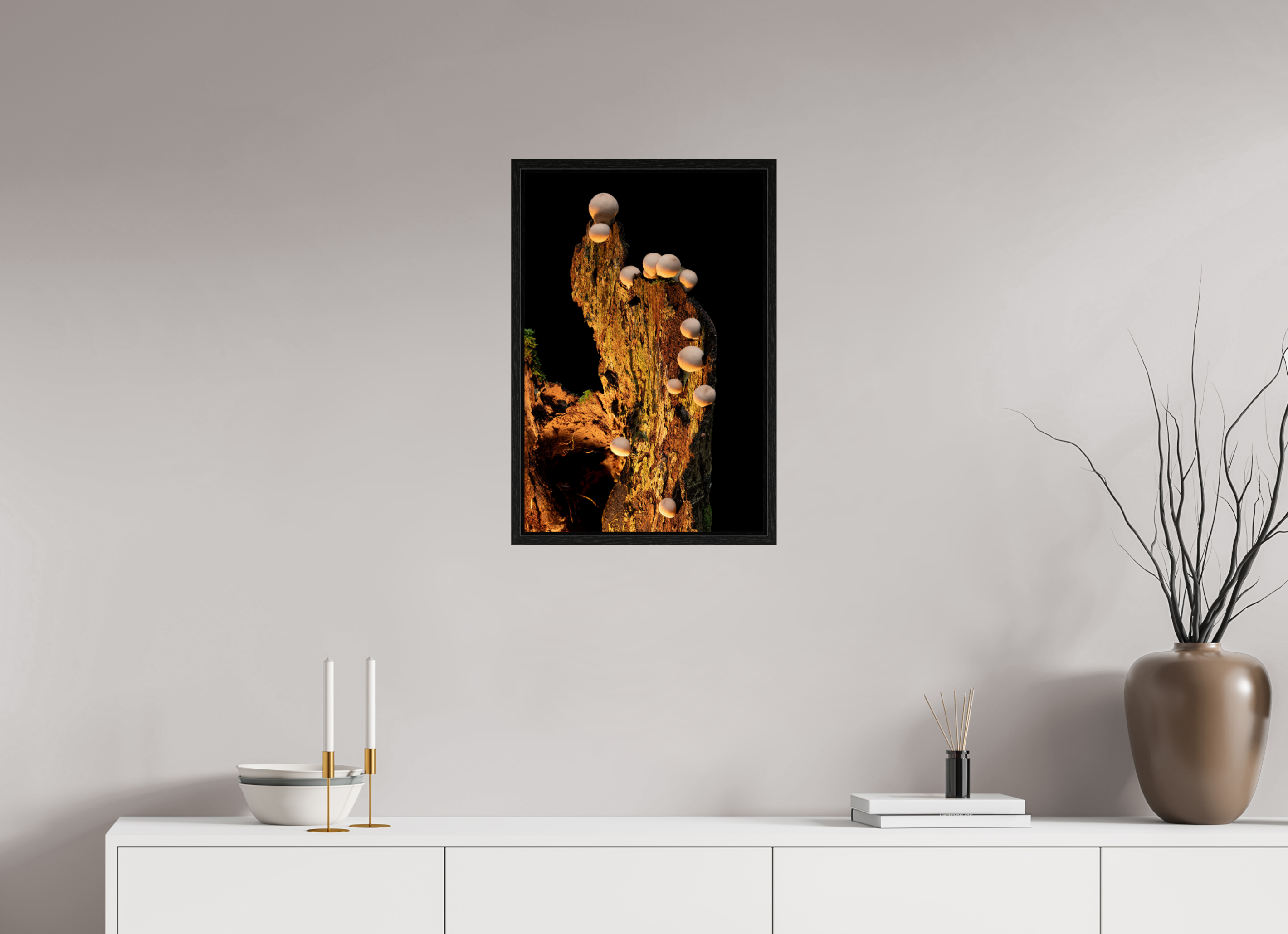 16 x 24″, Floater Frame Stepping Mushrooms