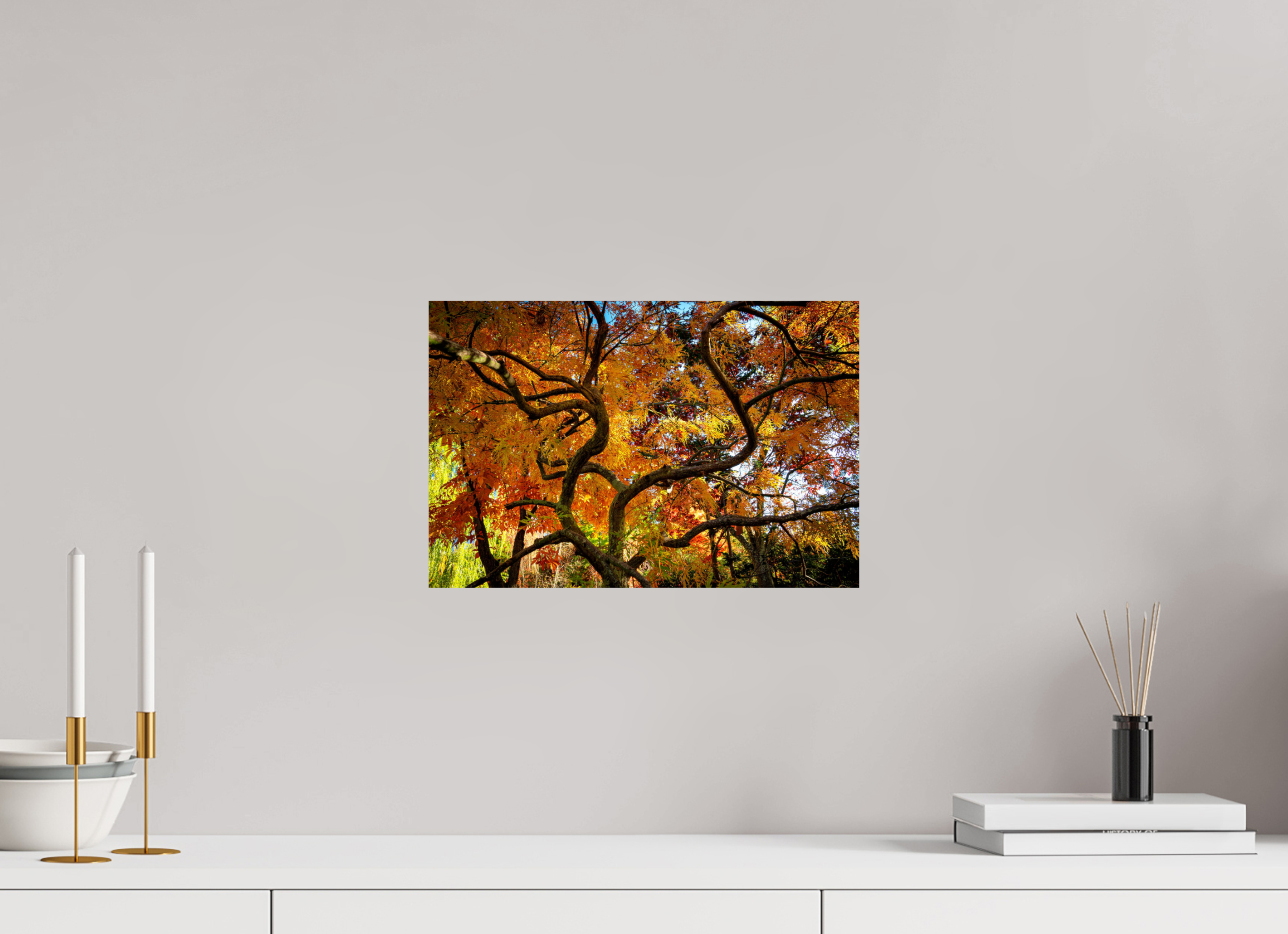 15 x 10″, Photo Print On Fuji Crystal DP II Autumn Maple