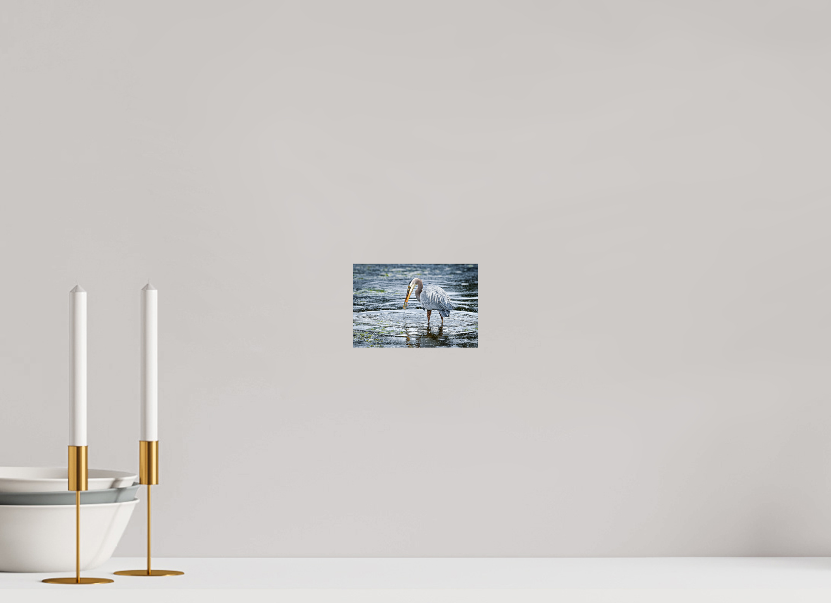6 x 4″, Photo Print on Aluminum Backing Surprised Dinner