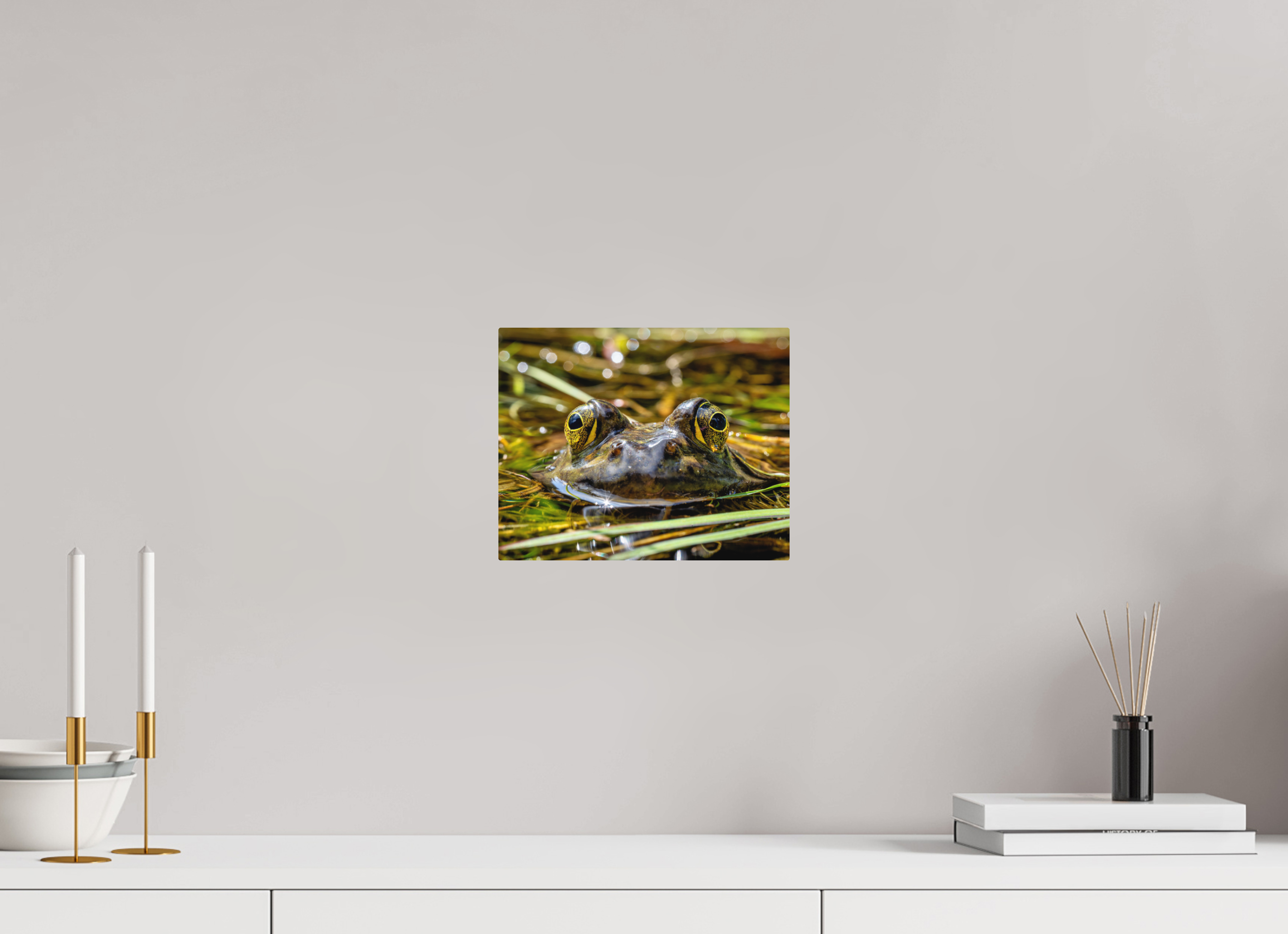 10 x 8″, Direct Print on Aluminum with mounting hardware included. Eyes of Frog