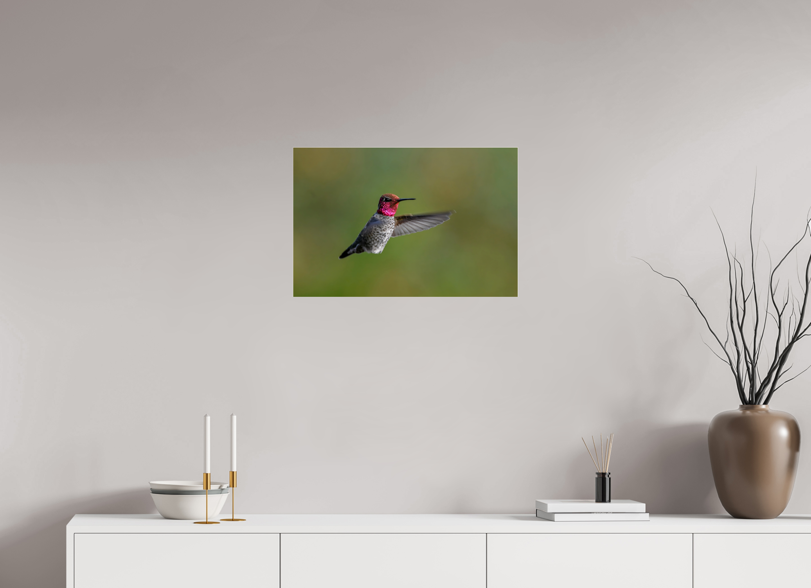 24 x 16″, Photo Mounted Under Acrylic Glass Glowing Anna's