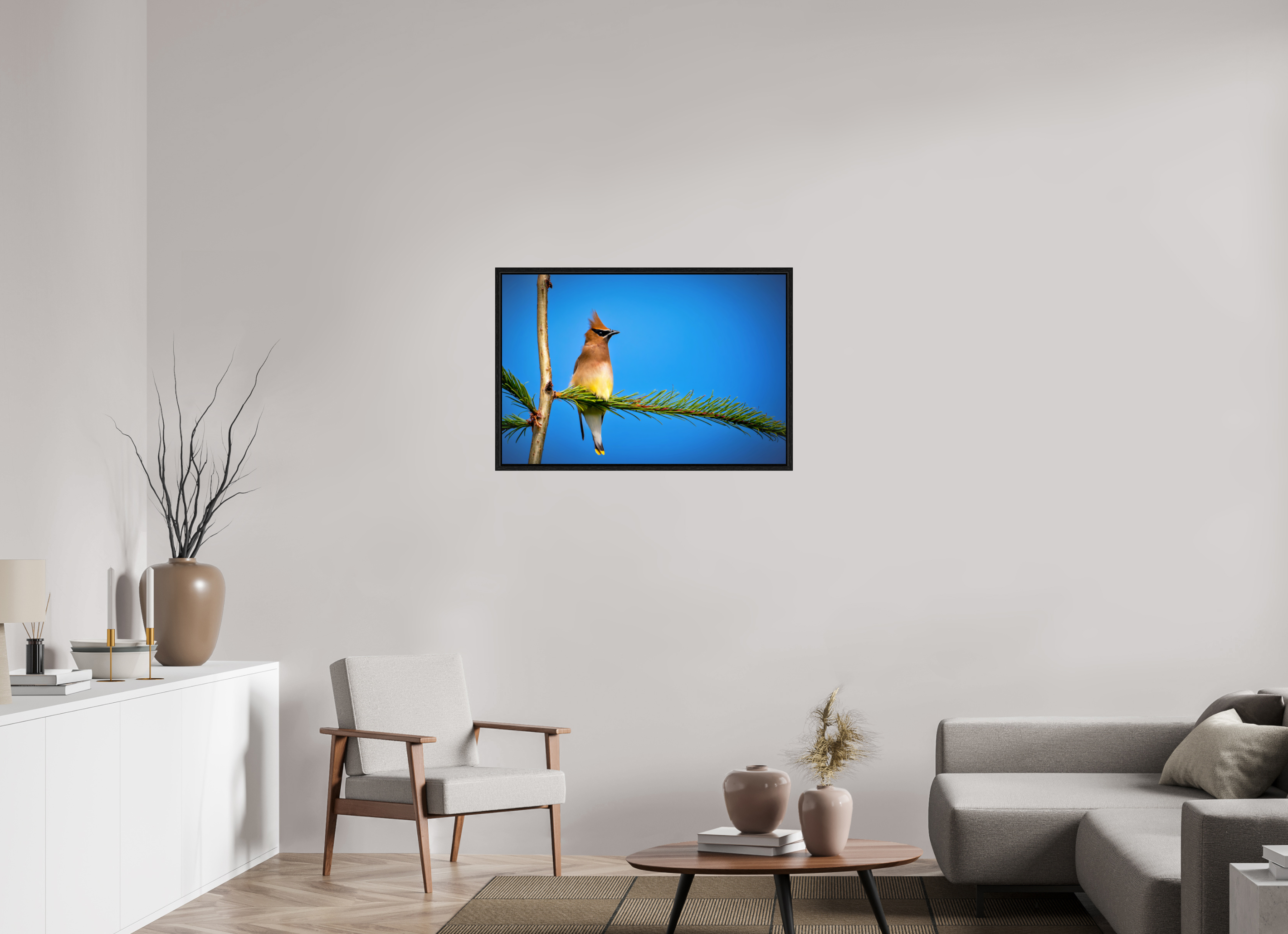 36 x 24″, Floater Frame Waxwing