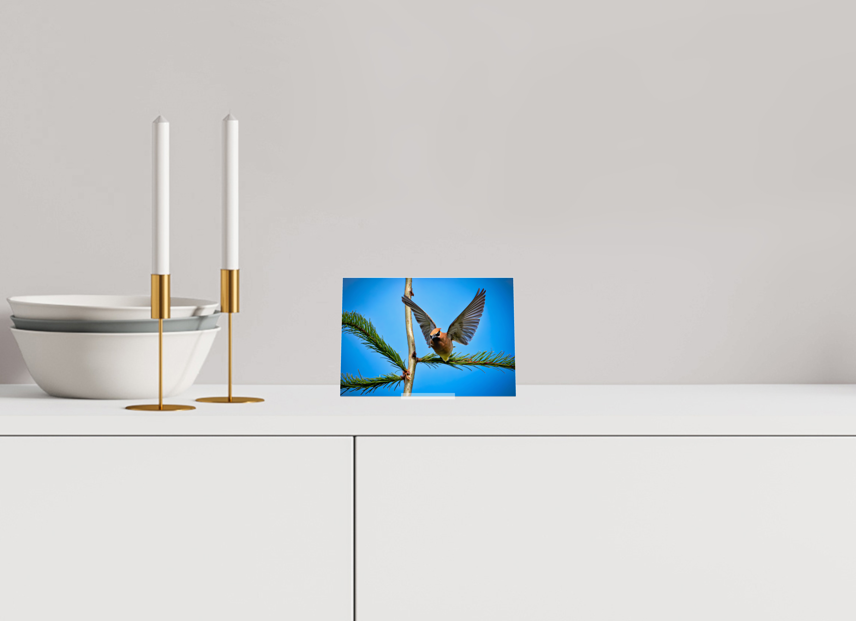 6.5 x 4.5″, Acrylic Glass on Stand Wing of the Waxwing