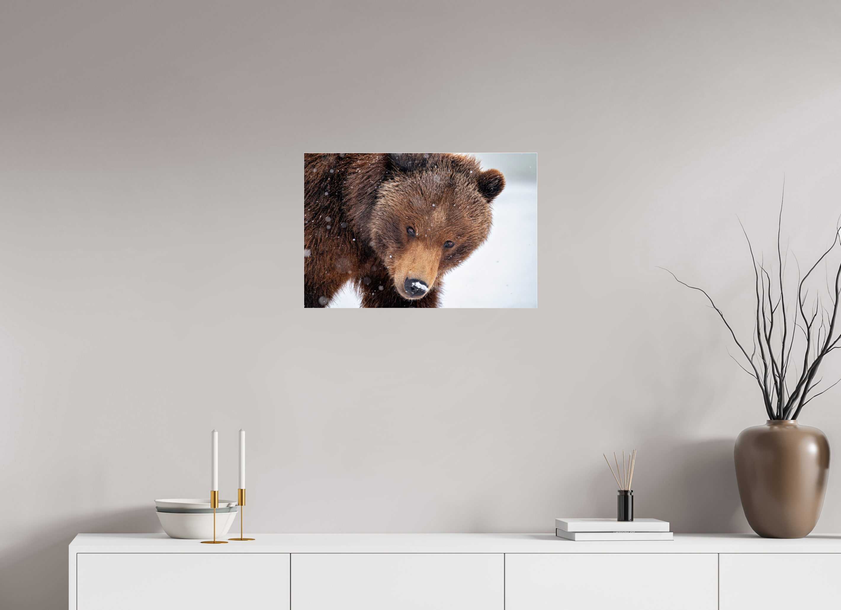 24 x 16″, Photo Mounted Under Acrylic Glass Bear Stare