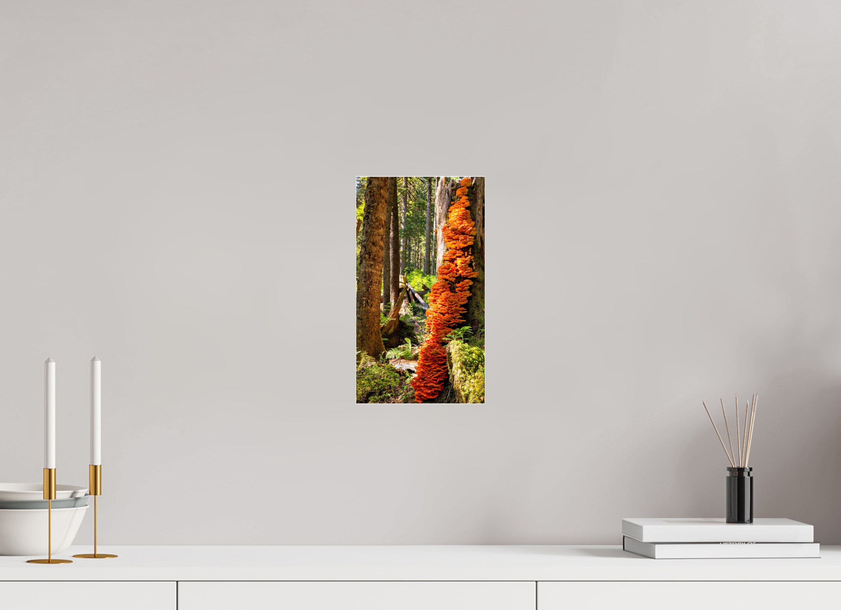 6.8 x 12″, Photo Mounted Under Acrylic Glass Flaming Stump