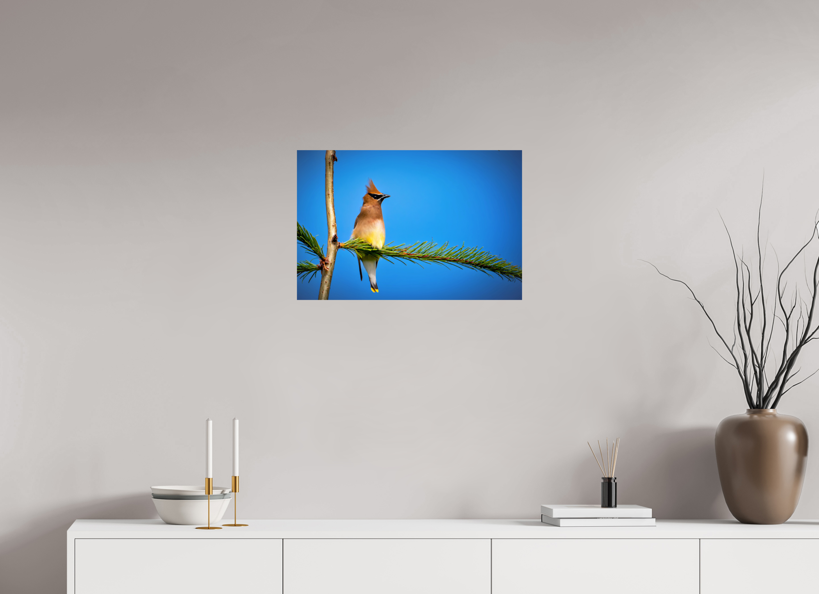 24 x 16″, Photo Print On Fuji Crystal DP II Waxwing