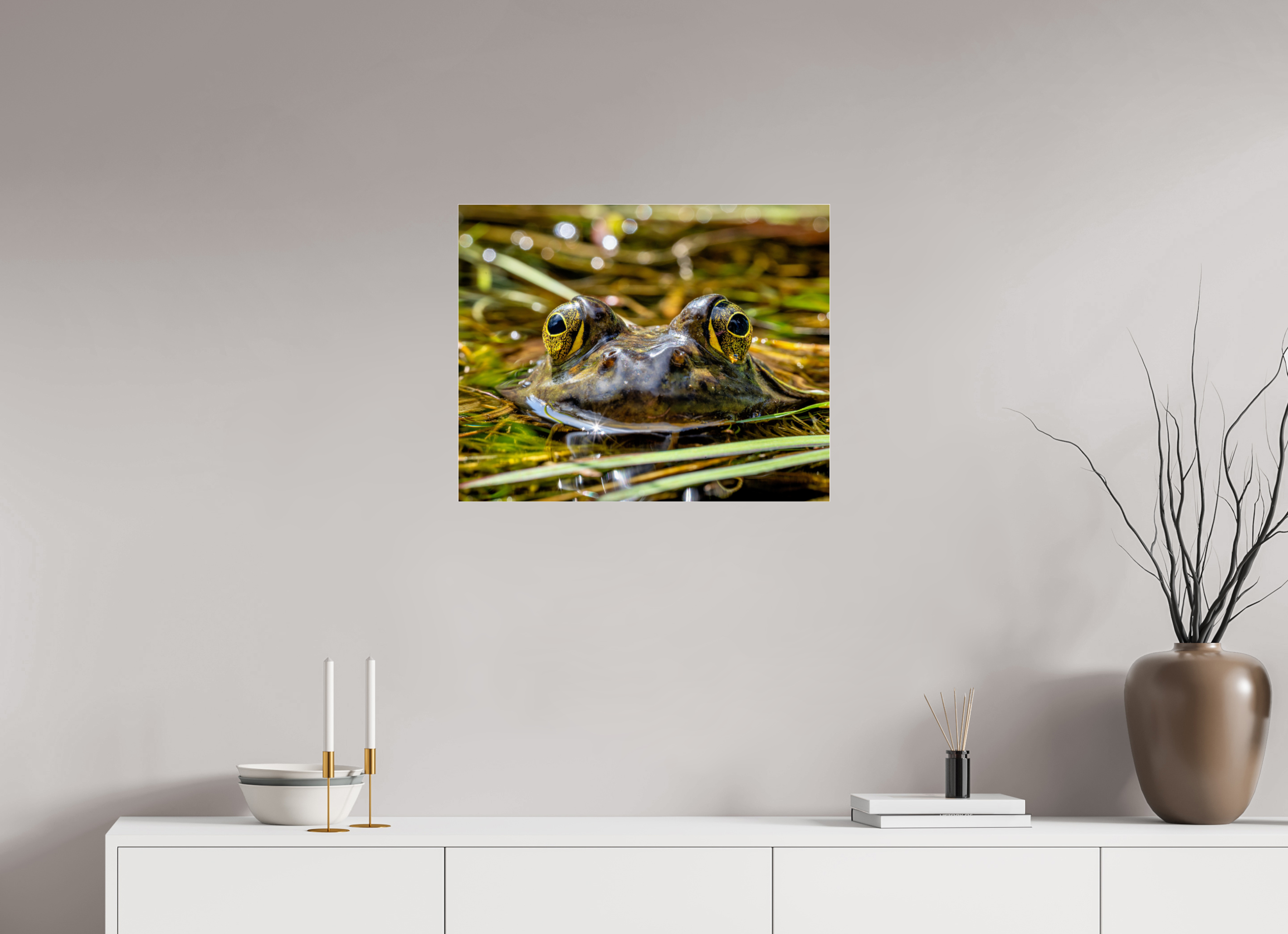 25 x 20″, Photo Mounted Under Acrylic Glass Eyes of Frog