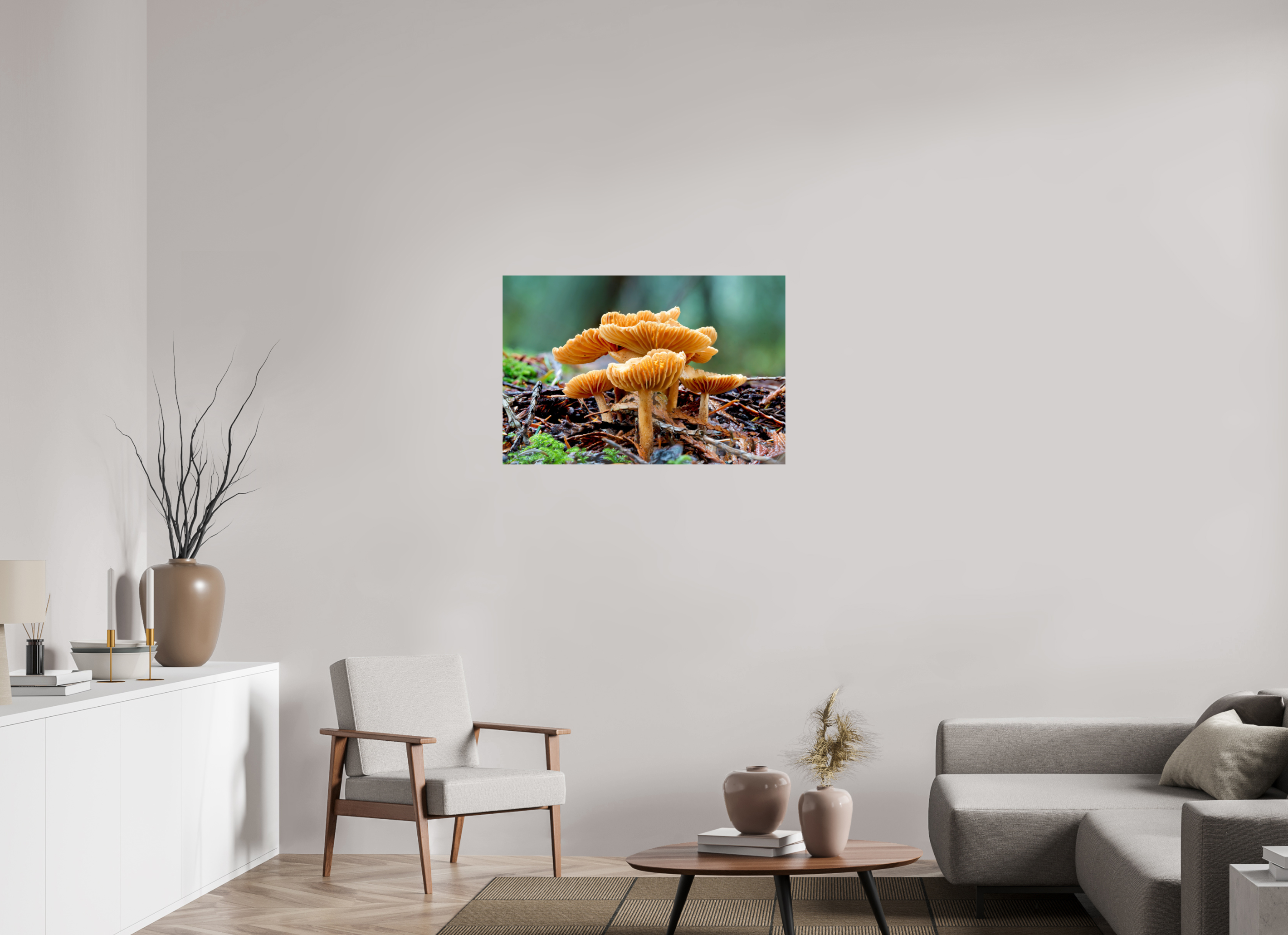 36 x 24″, Photo Print on Aluminum Backing Family of Fungi