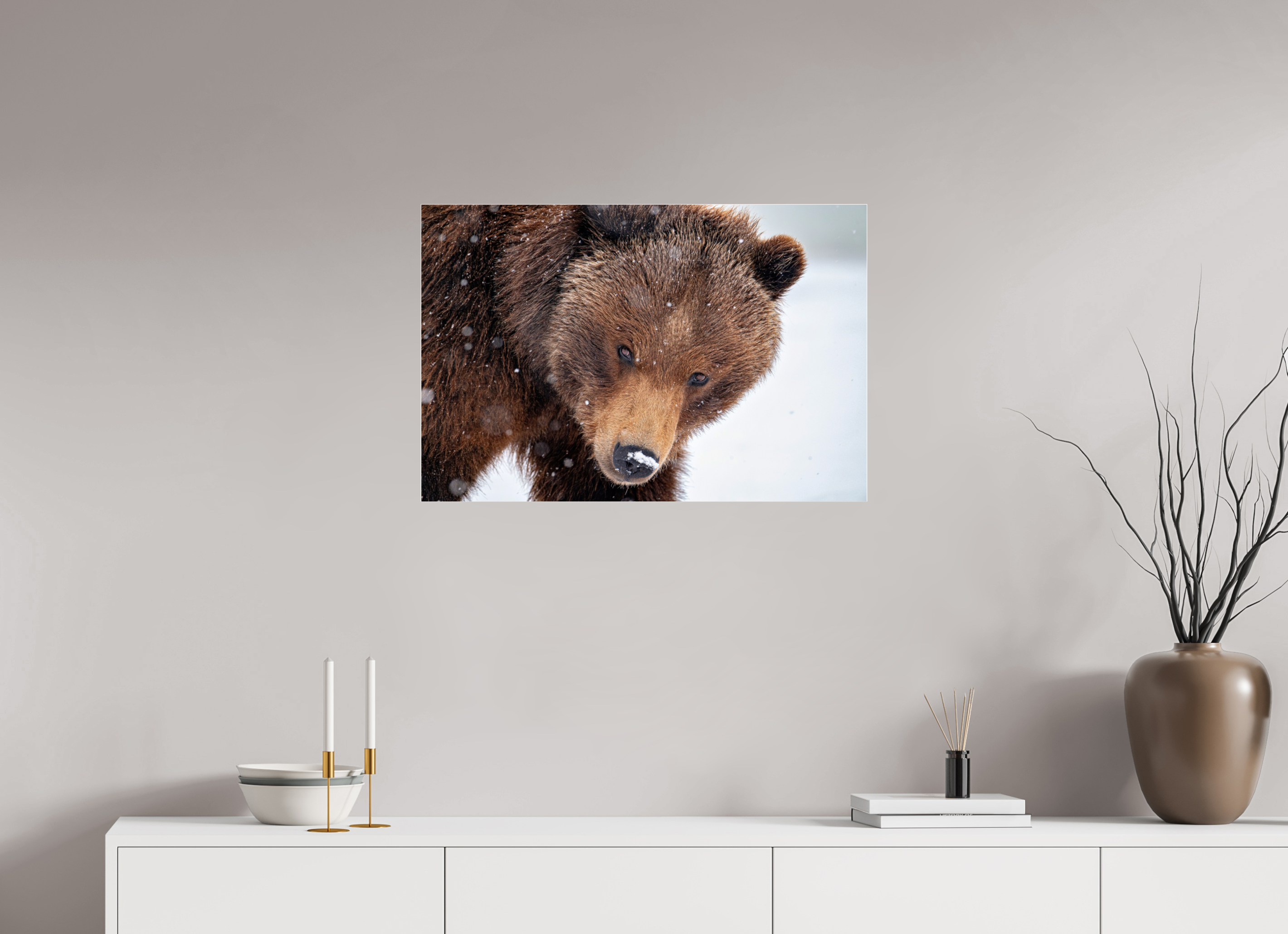 30 x 20″, Photo Mounted Under Acrylic Glass Bear Stare