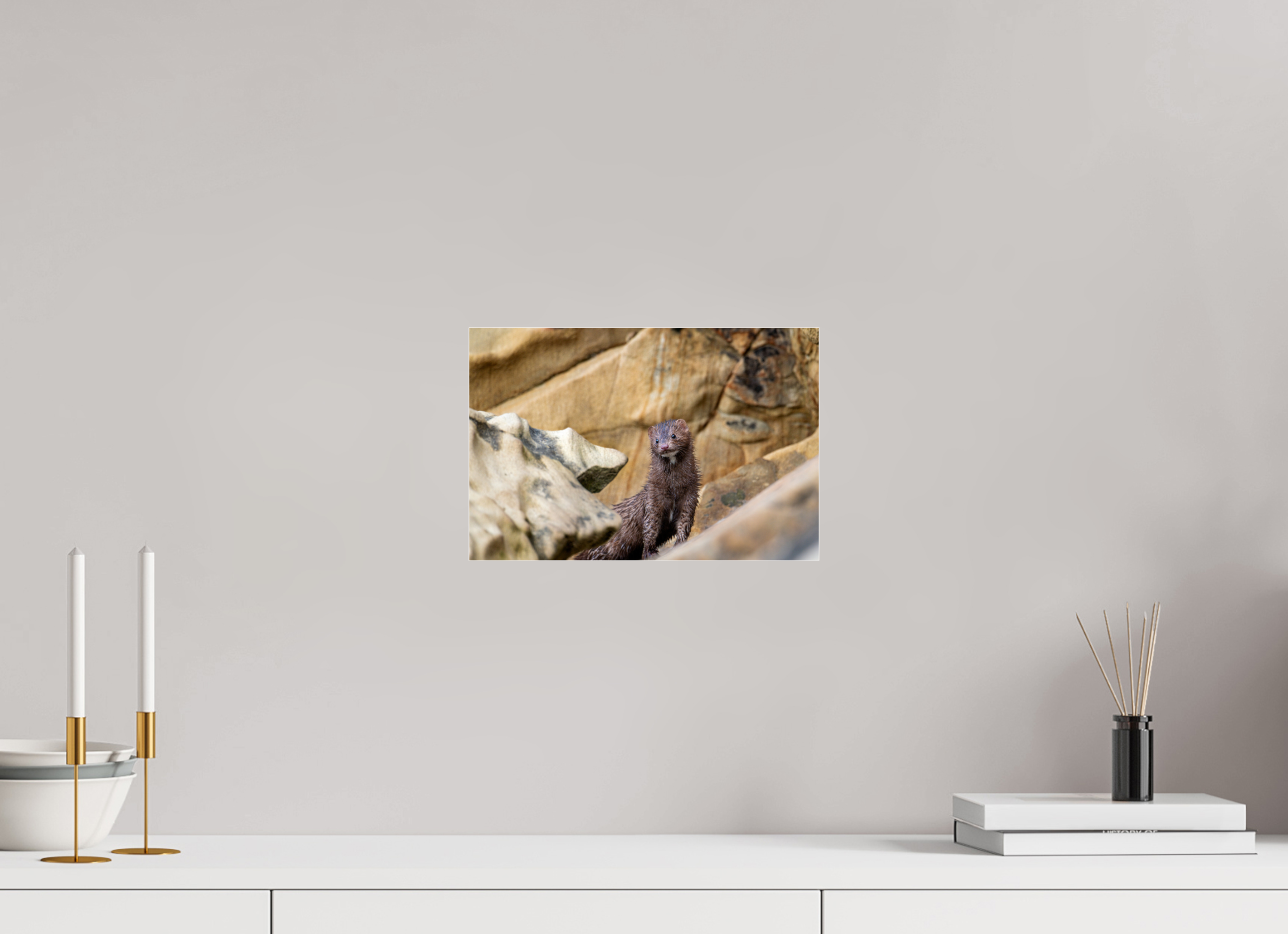 12 x 8″, Photo Print Under Acrylic Glass Seaside Mink
