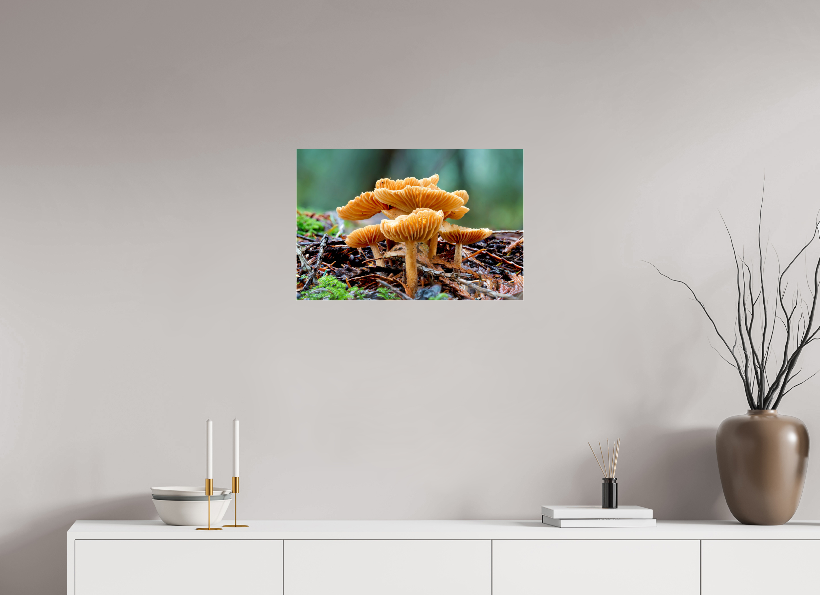 24 x 16″, Photo Mounted Under Acrylic Glass Family of Fungi