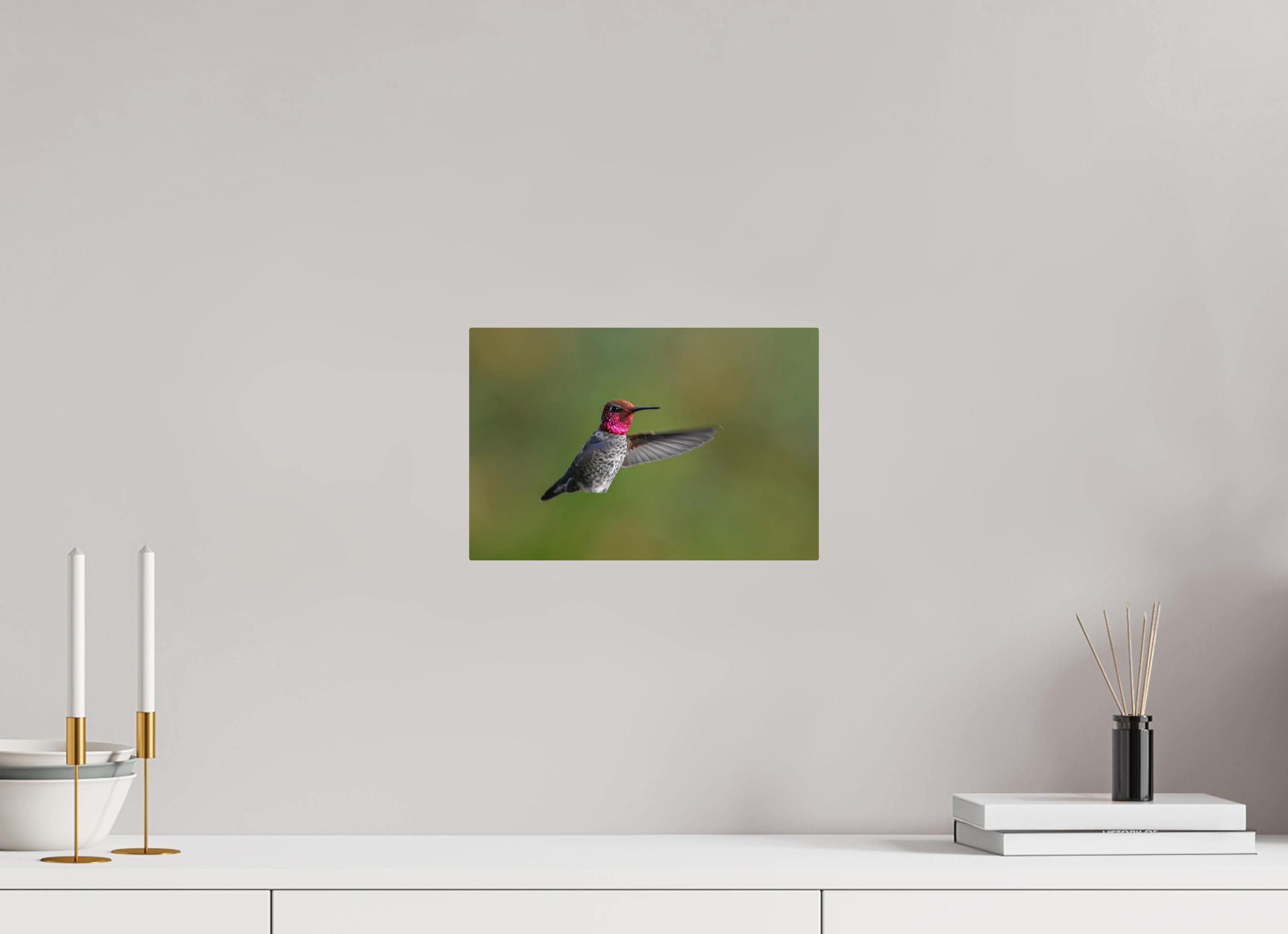 12 x 8″, Direct Print on Aluminum with mounting hardware included. Glowing Anna's