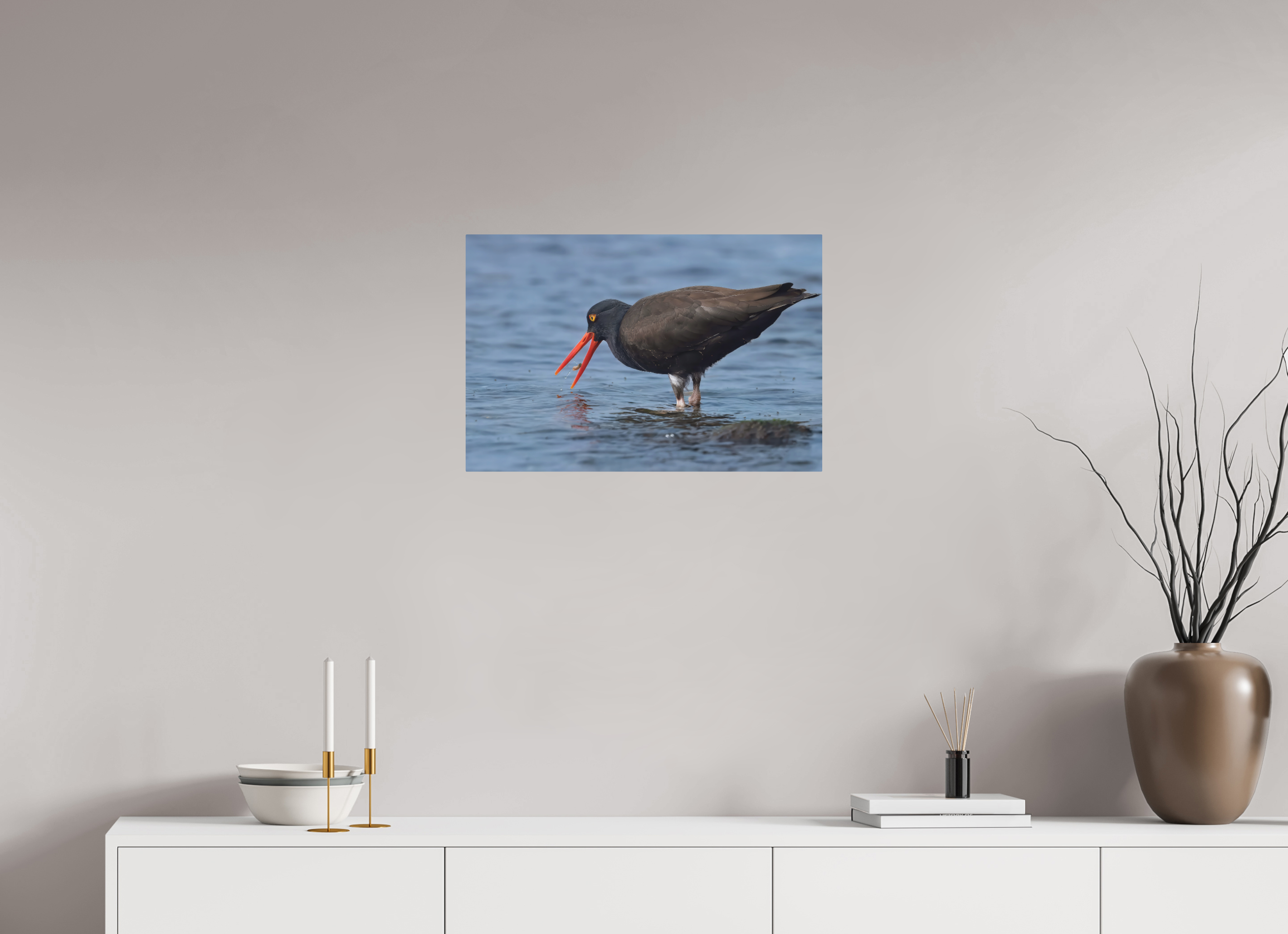 24 x 16″, Direct Print on Aluminum with mounting hardware included. Oystercatcher