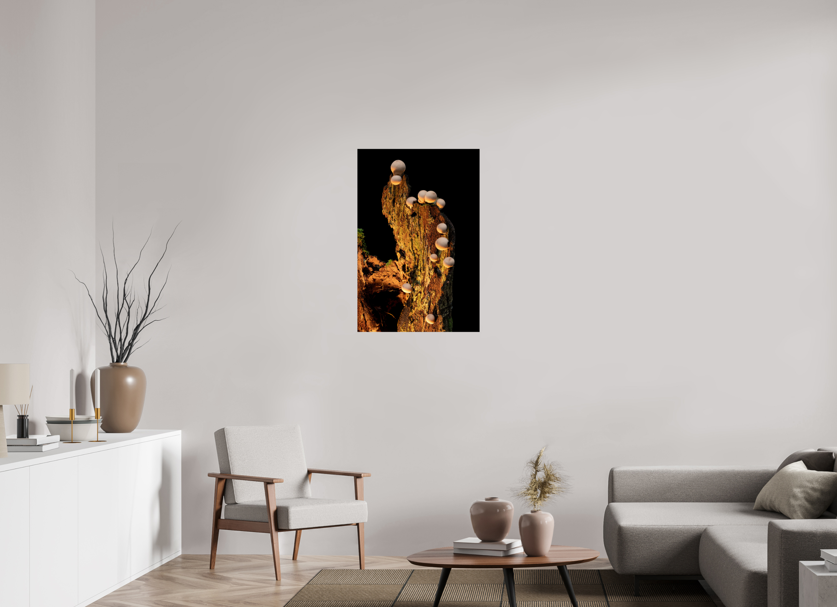 24 x 36″, Photo Print On Fuji Crystal DP II Stepping Mushrooms