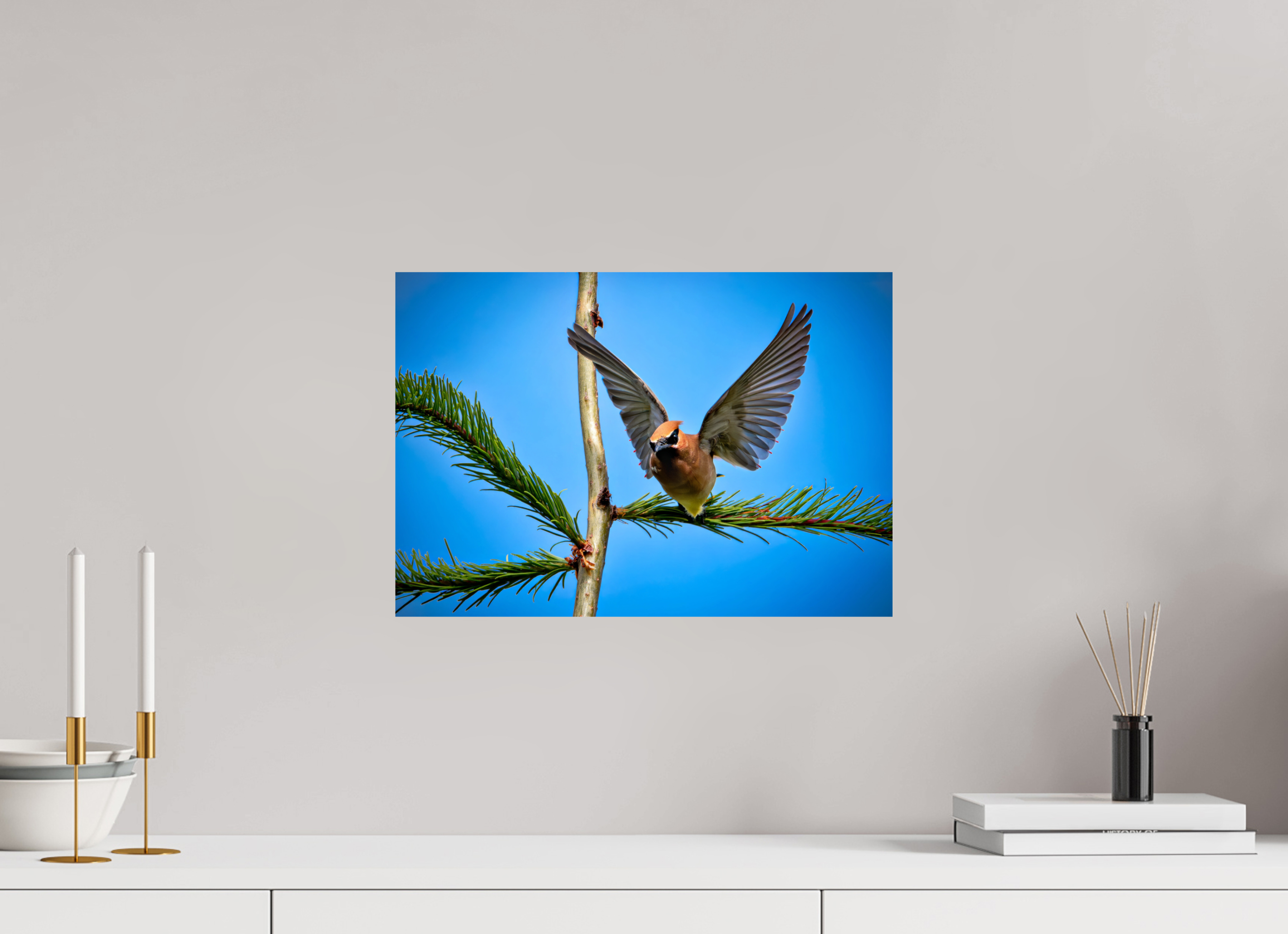 17.3 x 12″, Photo Print On Fuji Crystal DP II Wing of the Waxwing