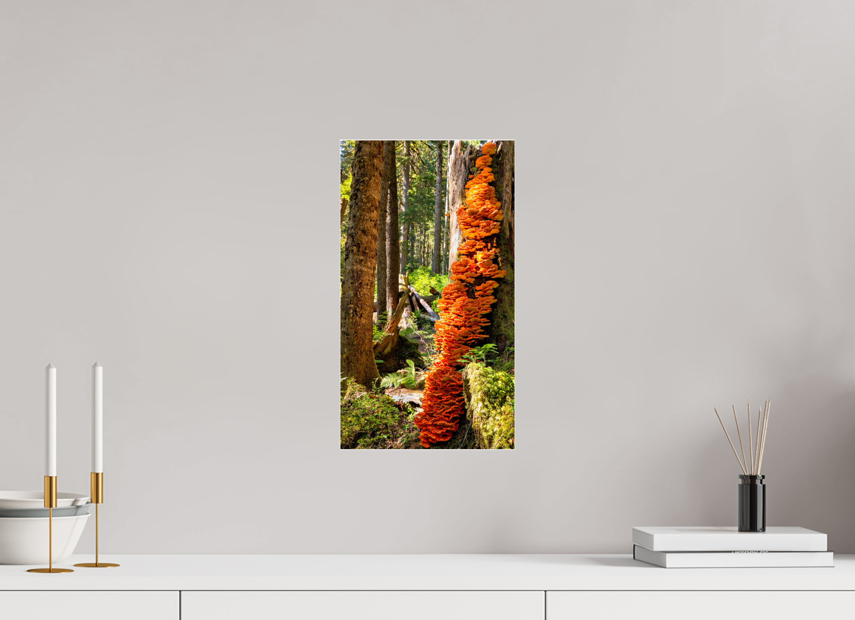 9 x 16″, Photo Mounted Under Acrylic Glass Flaming Stump