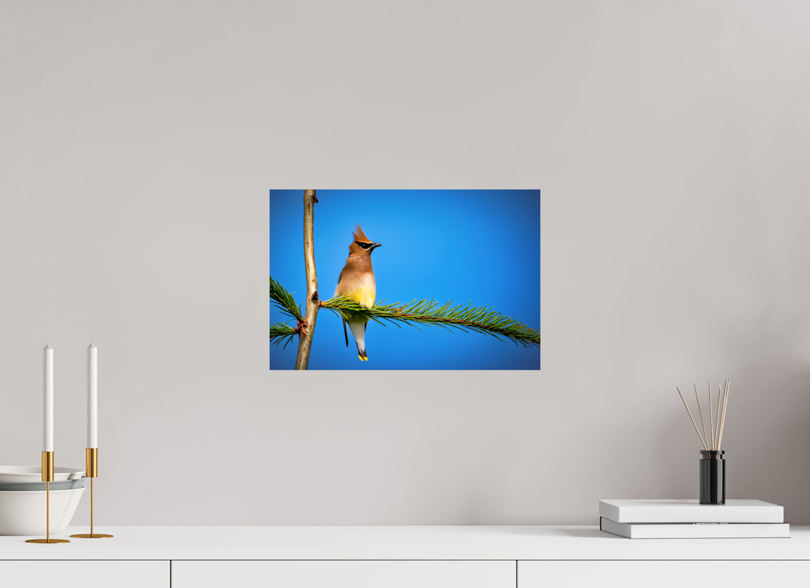 15 x 10″, Photo Print On Fuji Crystal DP II Waxwing