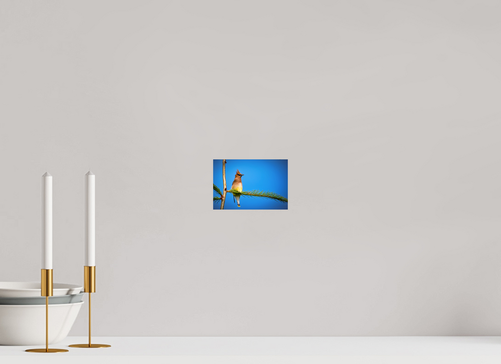 6 x 4″, Photo Print On Fuji Crystal DP II Waxwing