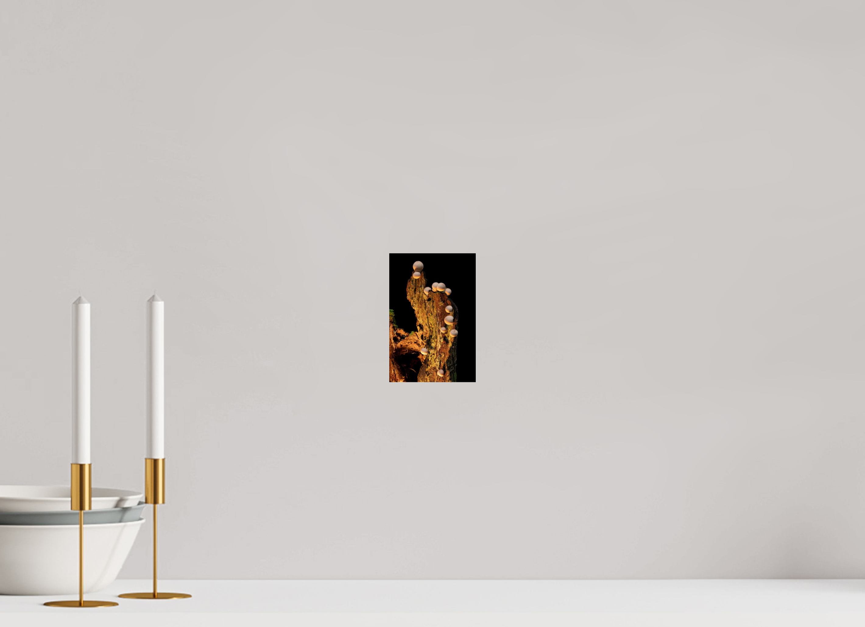 4 x 6″, Photo Print On Fuji Crystal DP II Stepping Mushrooms