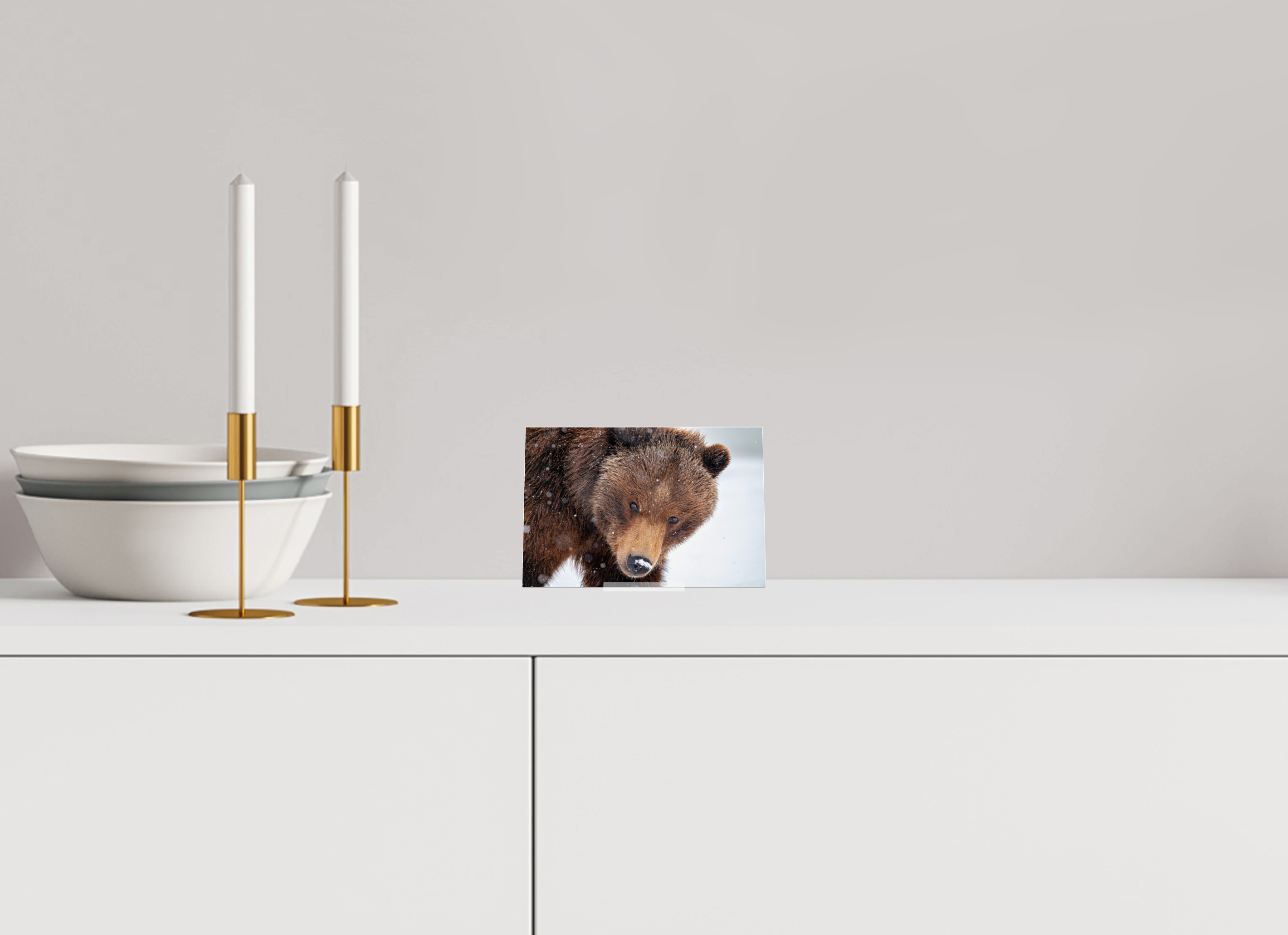 6 x 4″, Acrylic Glass on Stand Bear Stare