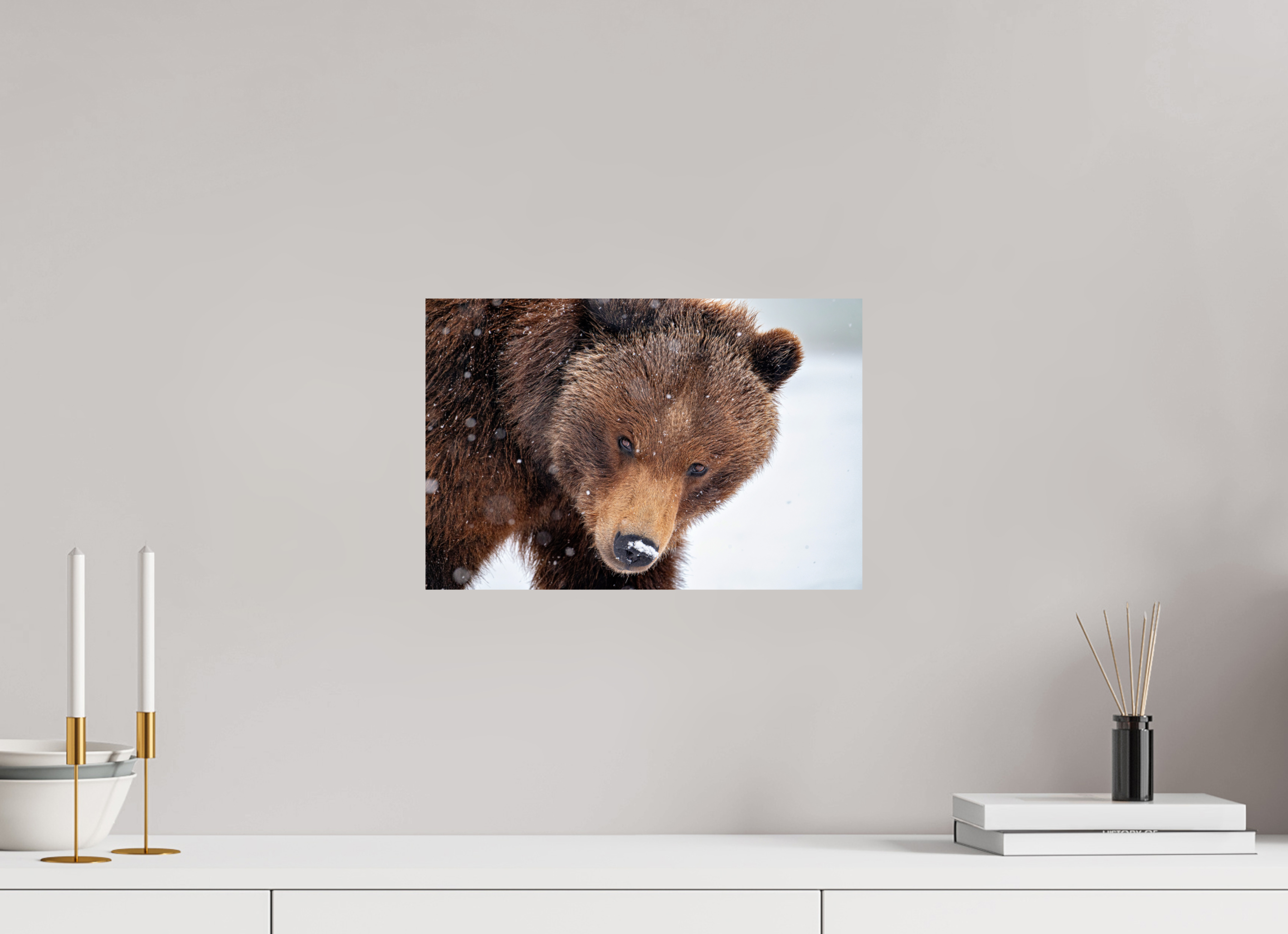 15 x 10″, Photo Print on Aluminum Backing Bear Stare