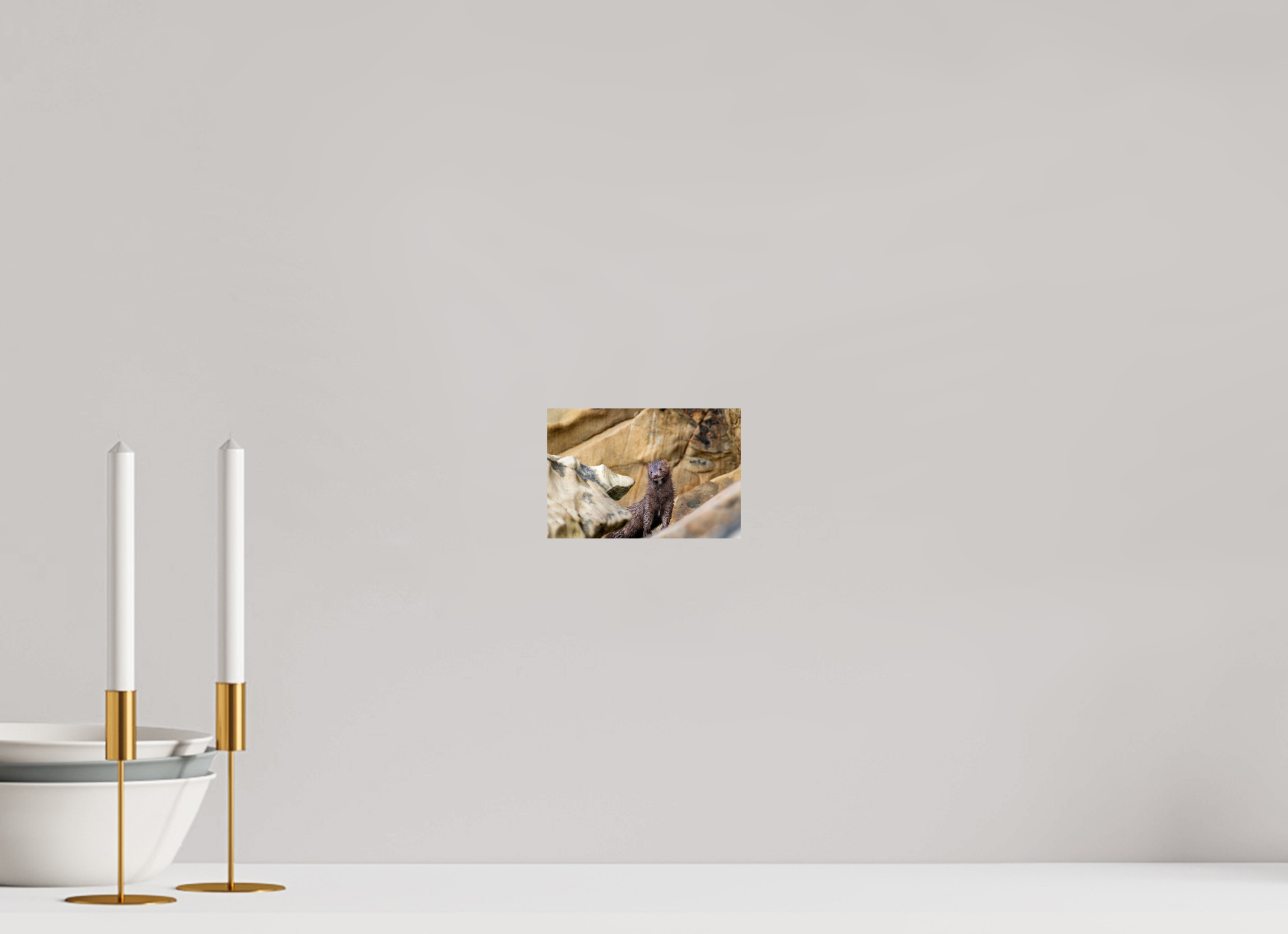 6 x 4″, Photo Print on Aluminum Backing Seaside Mink