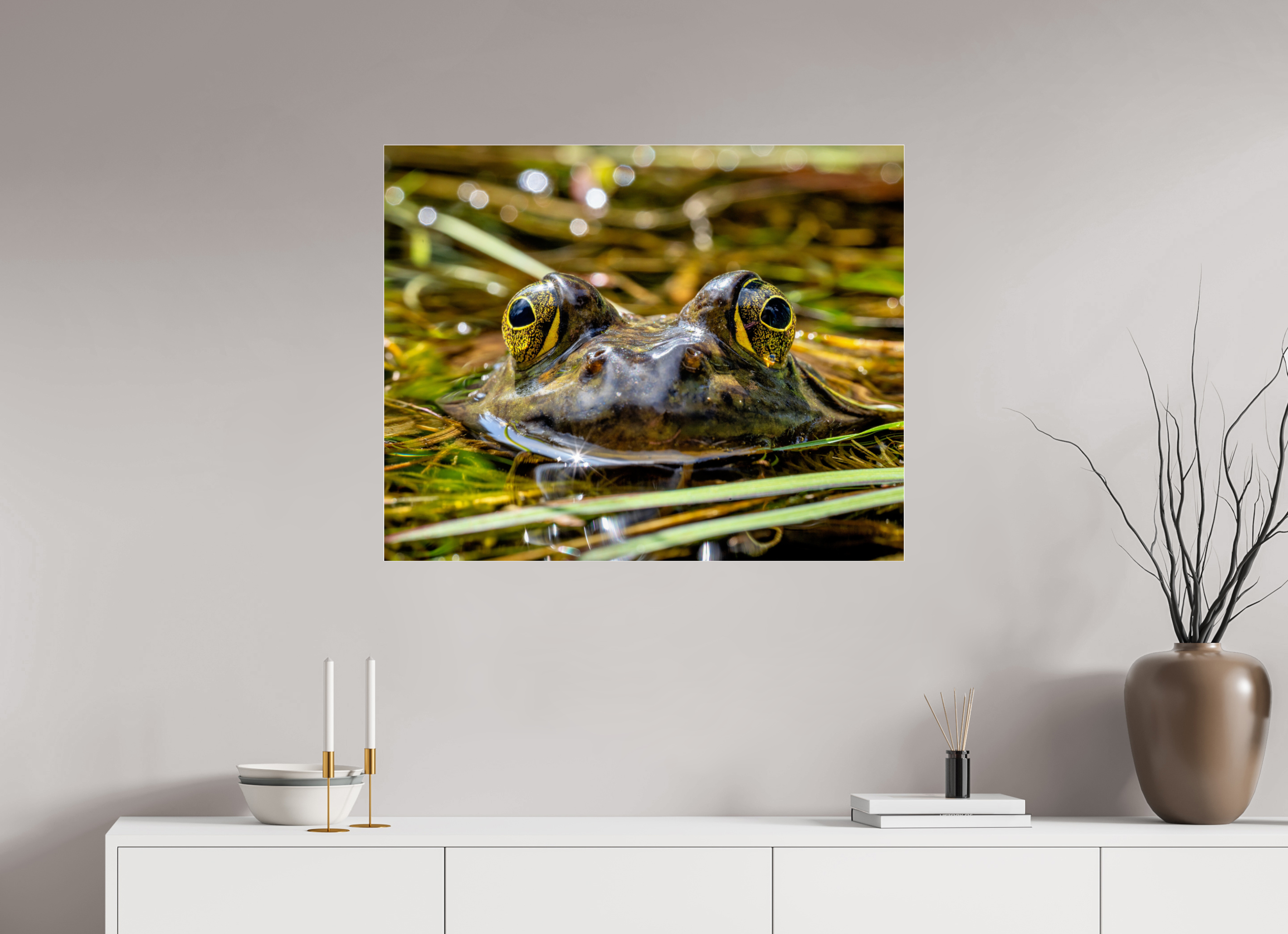 35 x 28″, Photo Mounted Under Acrylic Glass Eyes of Frog