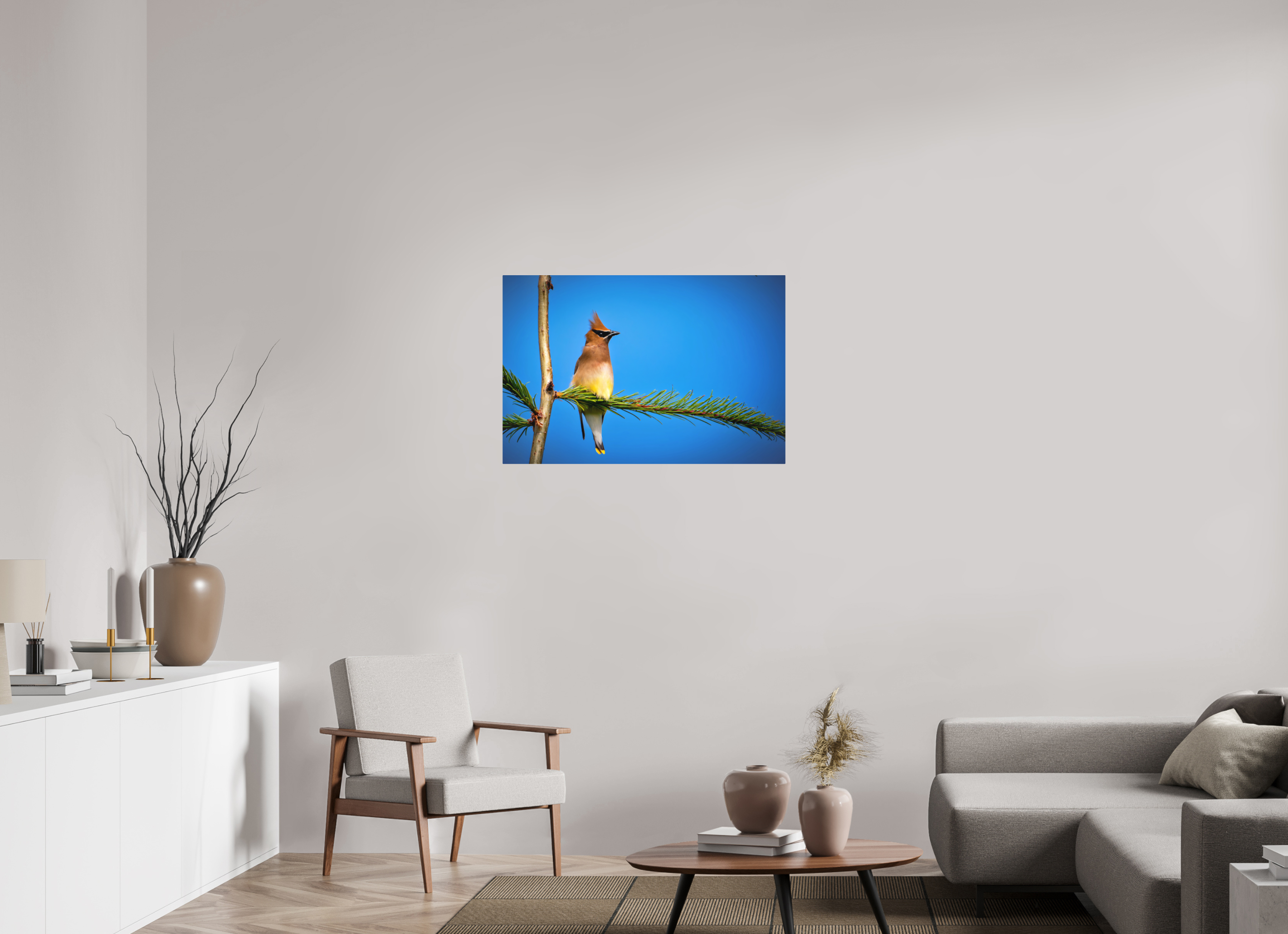 36 x 24″, Direct Print on Aluminum with mounting hardware included. Waxwing