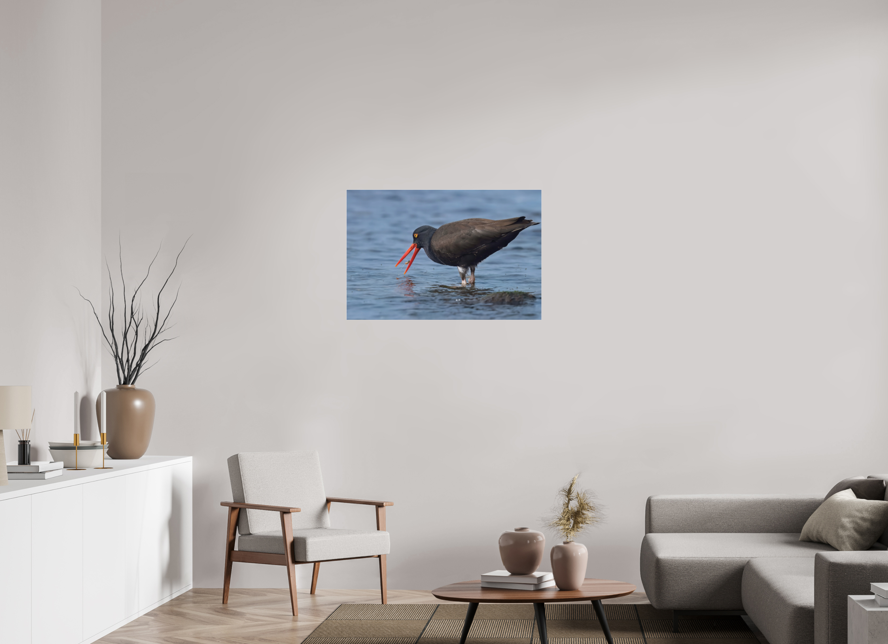 36 x 24″, Photo Mounted Under Acrylic Glass Oystercatcher