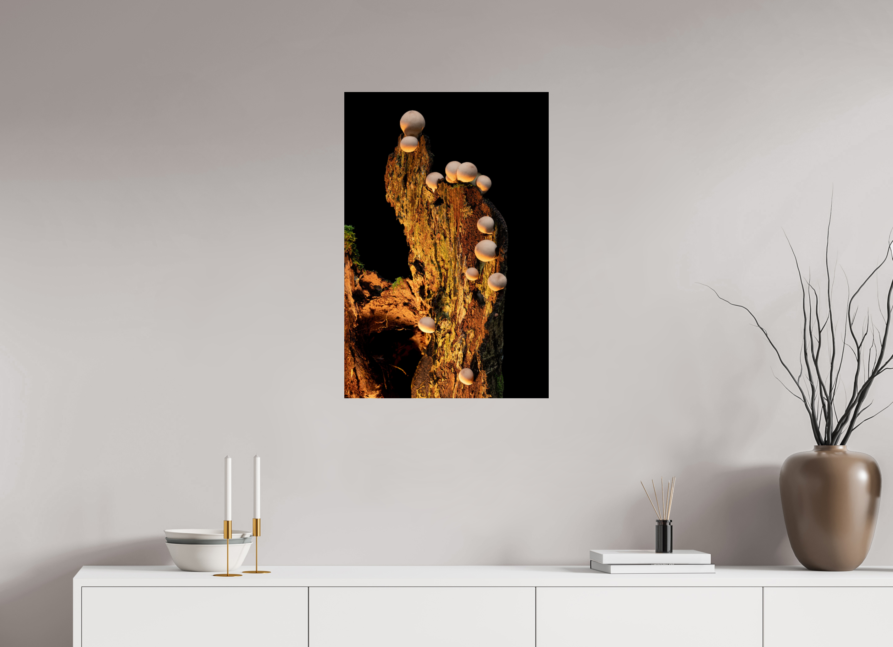 20 x 30″, Photo Print On Fuji Crystal DP II Stepping Mushrooms
