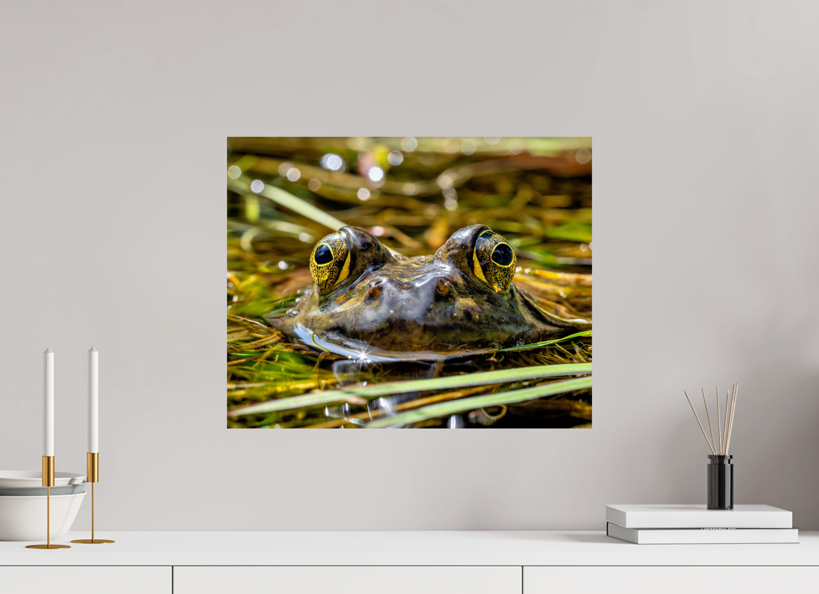 20 x 16″, Photo Print On Fuji Crystal DP II Eyes of Frog
