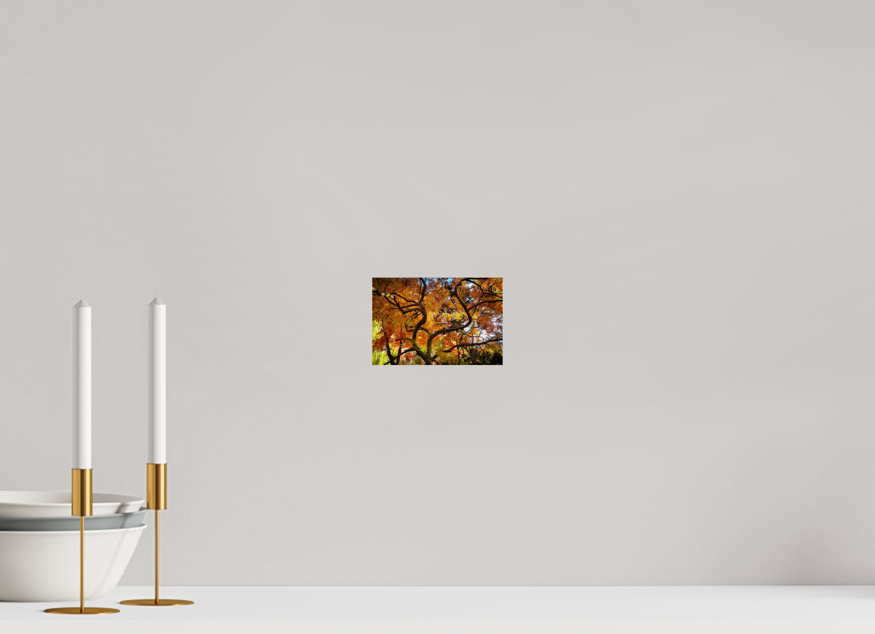 6 x 4″, Photo Print On Fuji Crystal DP II Autumn Maple