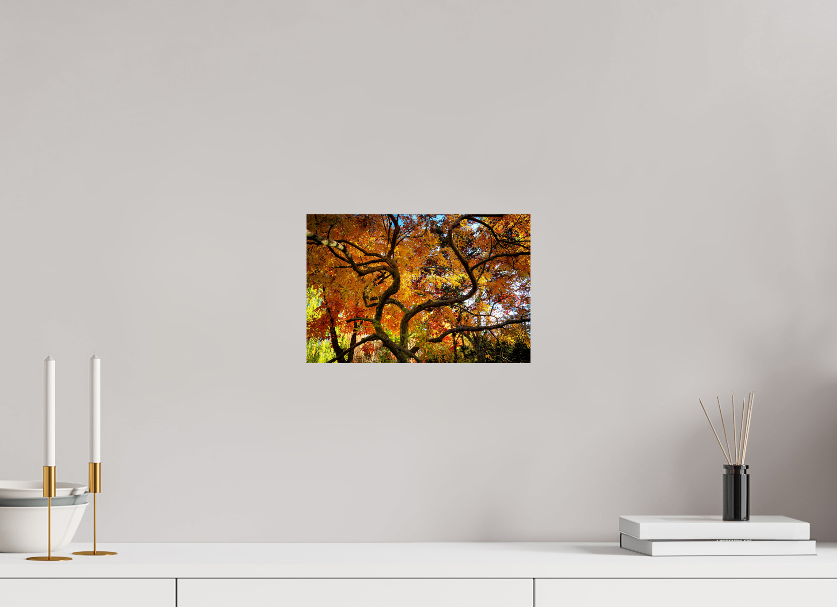 12 x 8″, Photo Print On Fuji Crystal DP II Autumn Maple
